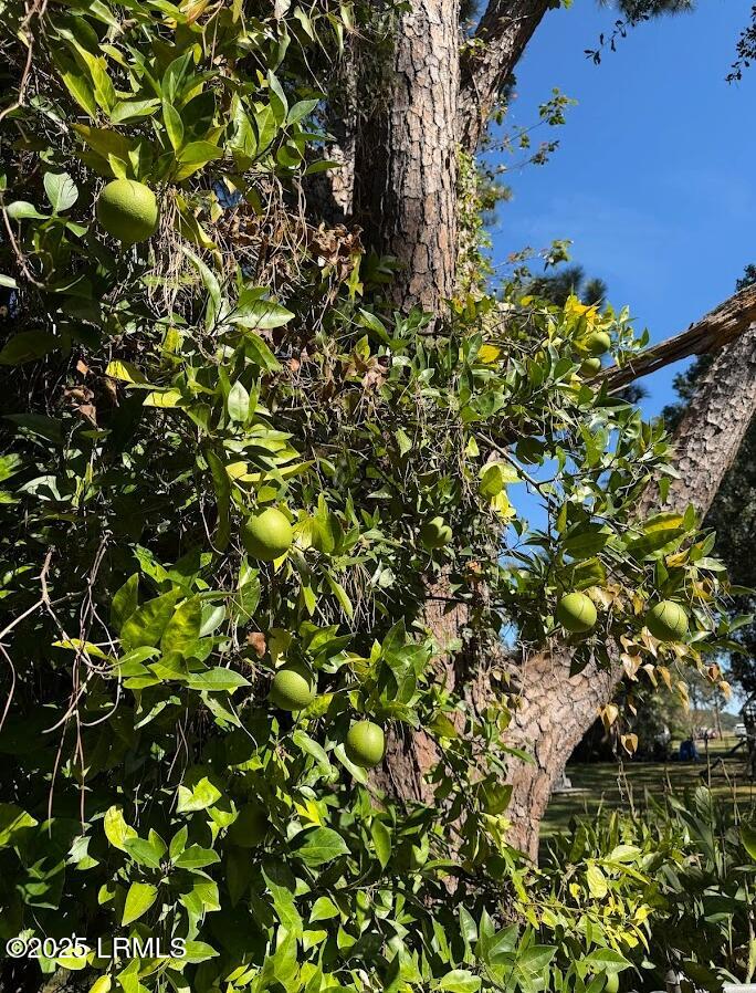 2221 State Rd S-7-490 Beaufort, SC 29902 - Photo 48 of 49 image (9)