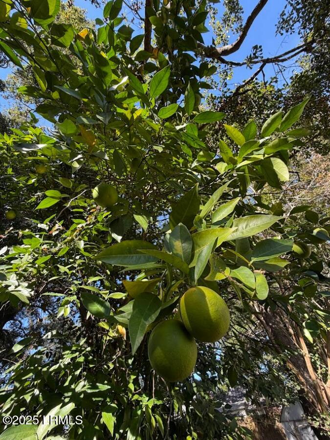 2221 State Rd S-7-490 Beaufort, SC 29902 - Photo 49 of 49 image (57)