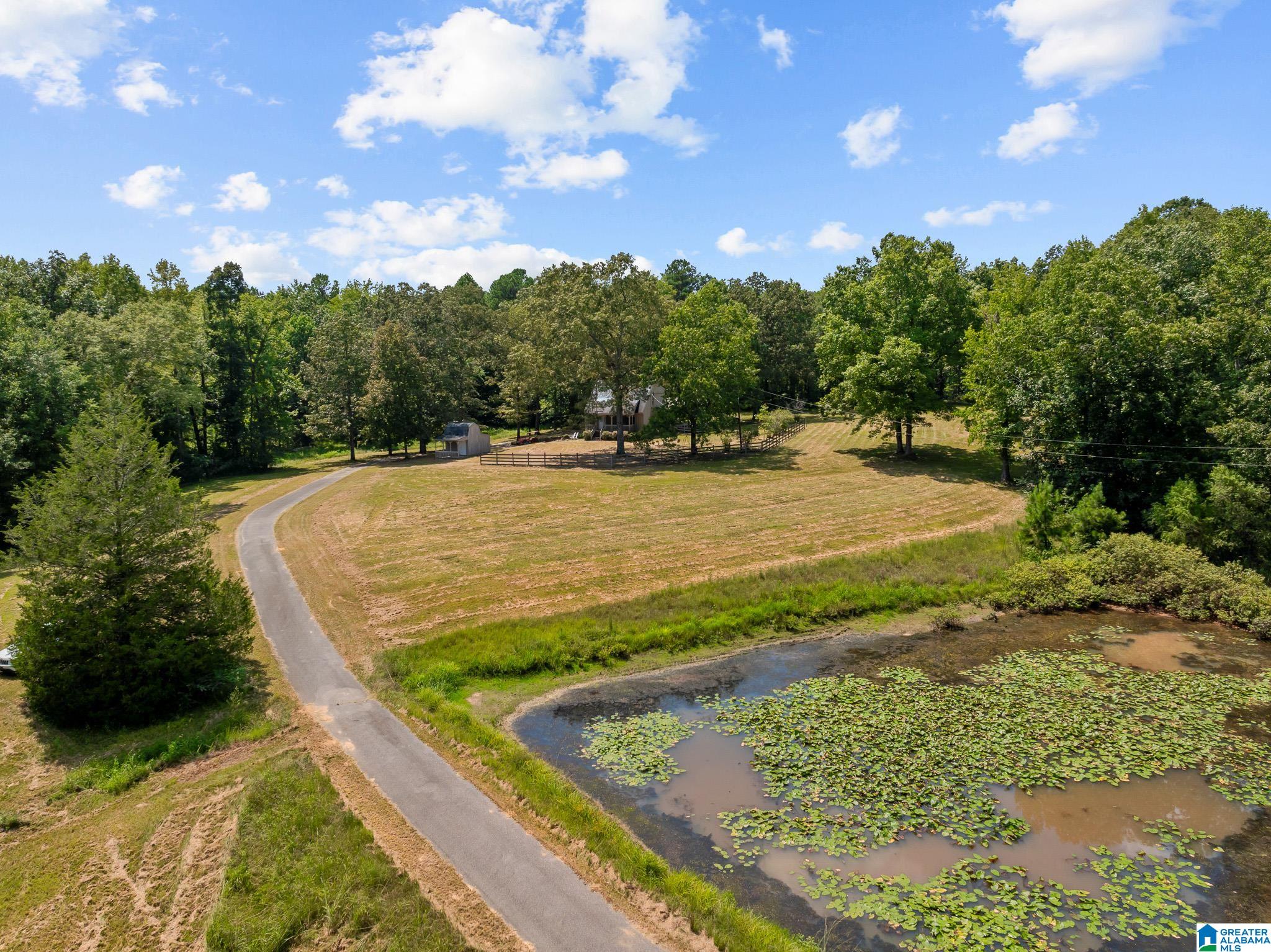 1695 Sanie Road Odenville, AL 35120 - Photo 37 of 63