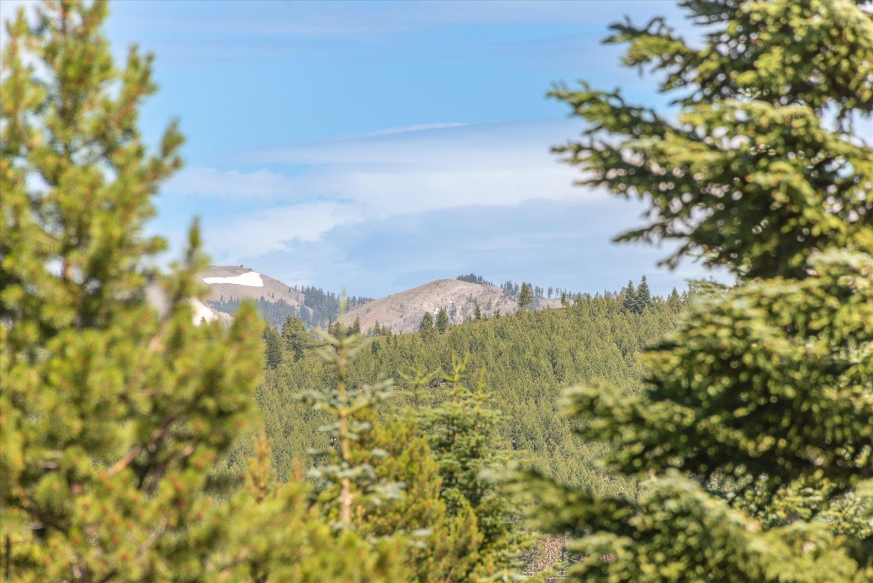 15009 Ski Slope Way Truckee, CA 96161 - Photo 27 of 28 a view of a bunch of a tree