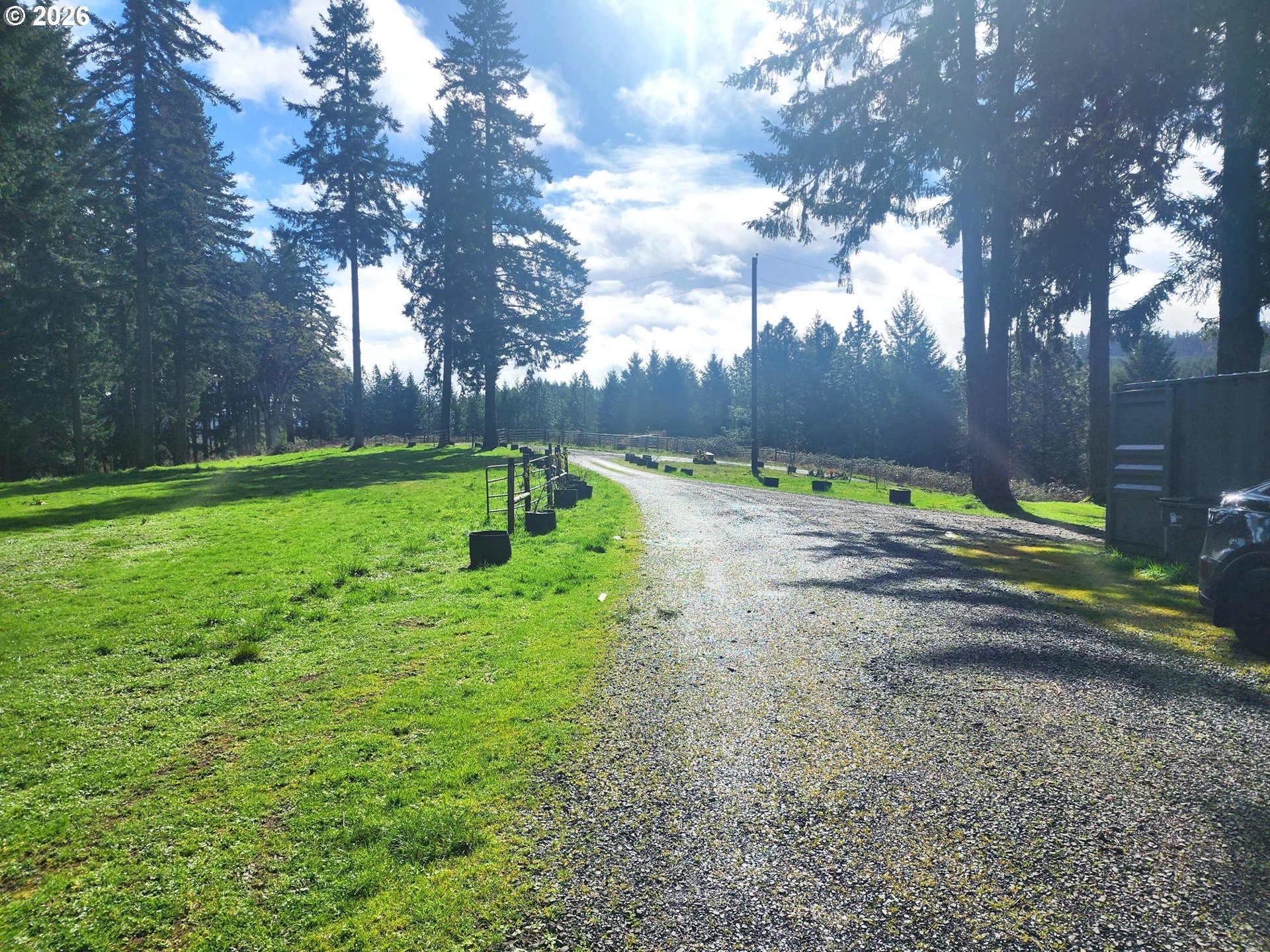 85106 Territorial Highway Eugene, OR 97402 - Photo 12 of 48 a view of a yard with large trees