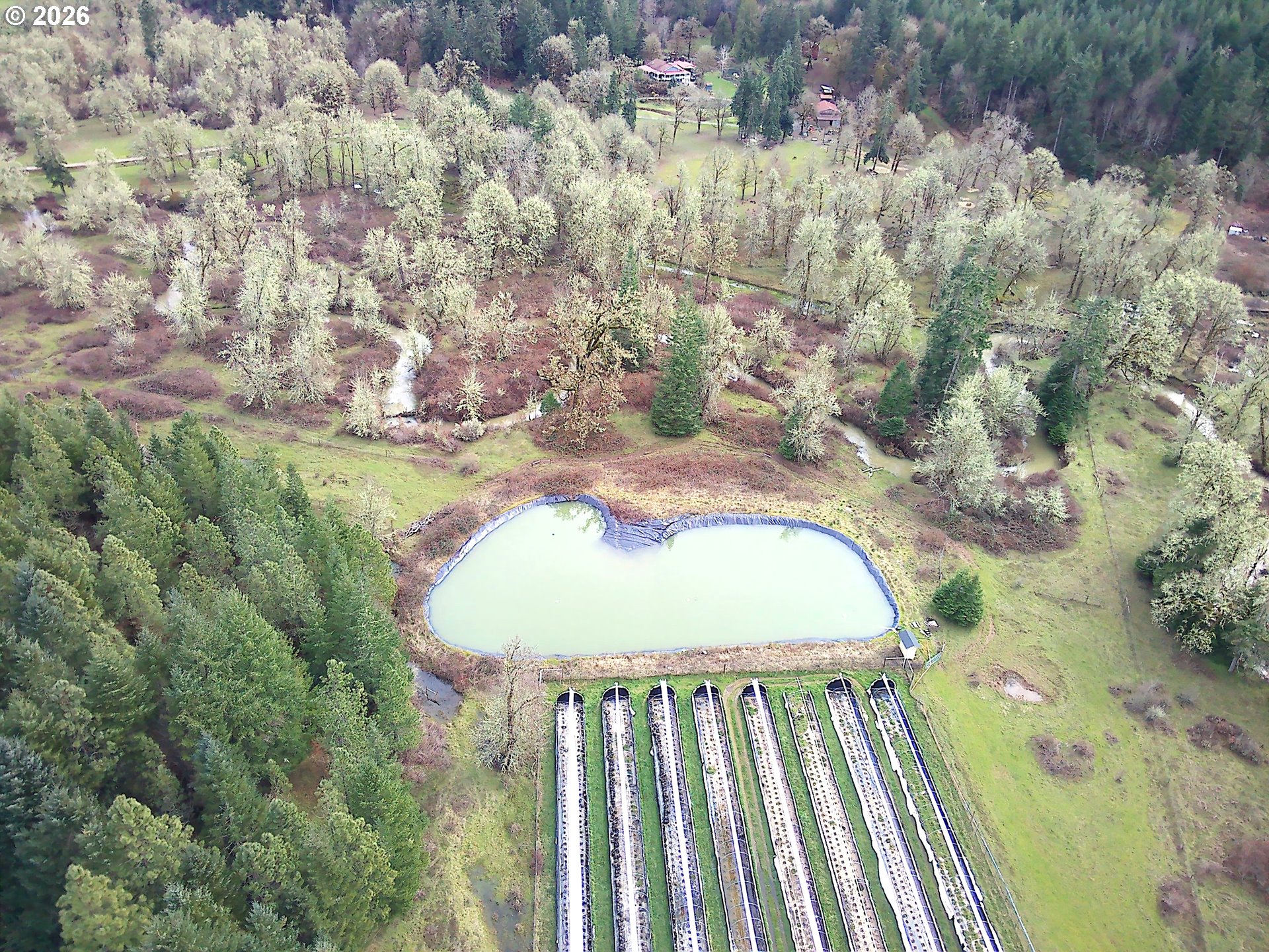 85106 Territorial Highway Eugene, OR 97402 - Photo 20 of 48 a view of swimming pool with a yard and wooden fence