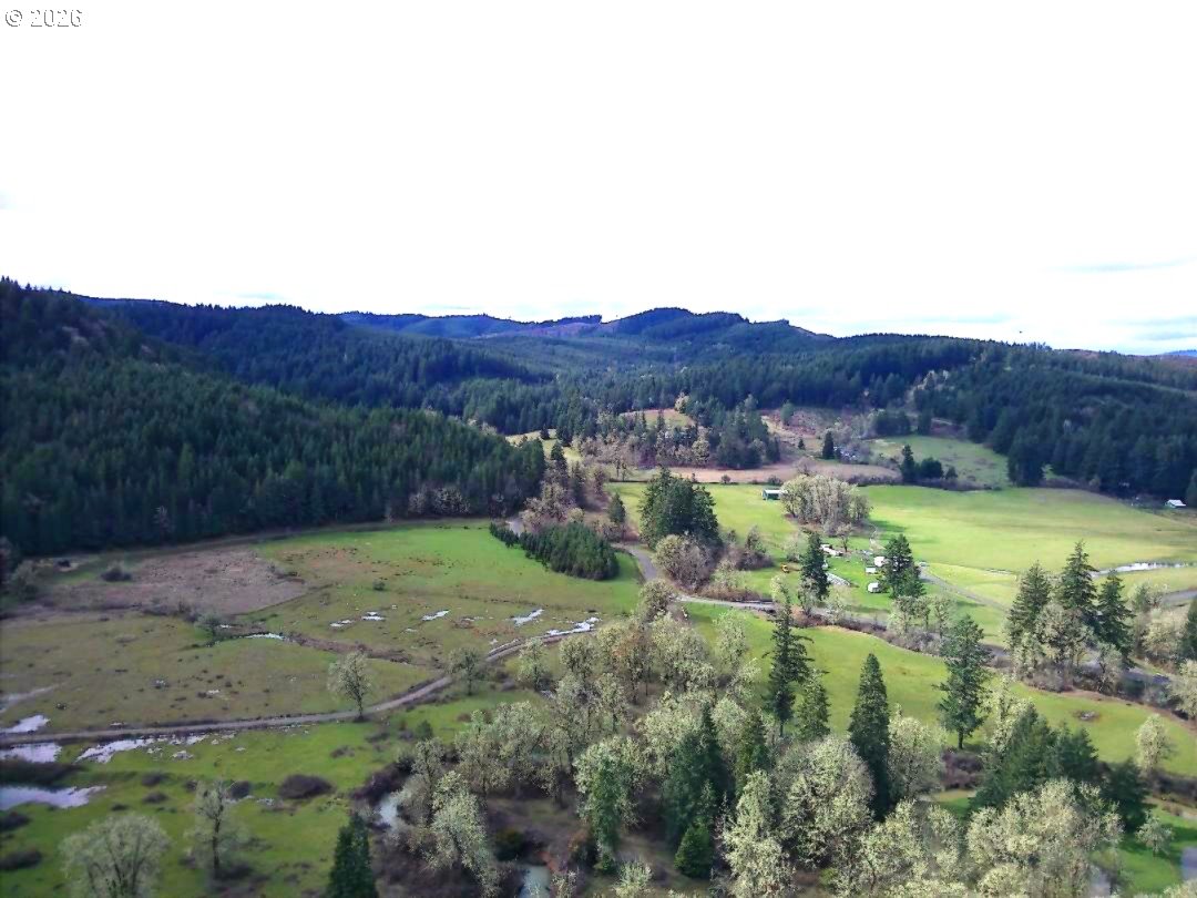85106 Territorial Highway Eugene, OR 97402 - Photo 30 of 48 a view of a lush green hillside and a houses