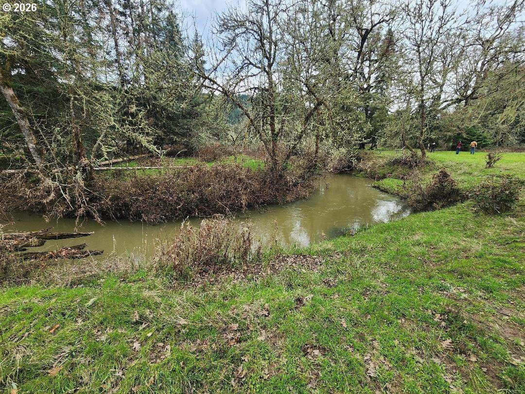 85106 Territorial Highway Eugene, OR 97402 - Photo 41 of 48 a view of lake with green space