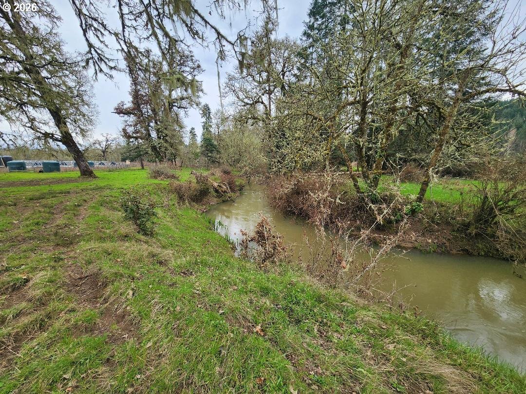 85106 Territorial Highway Eugene, OR 97402 - Photo 43 of 48 a view of lake with green space