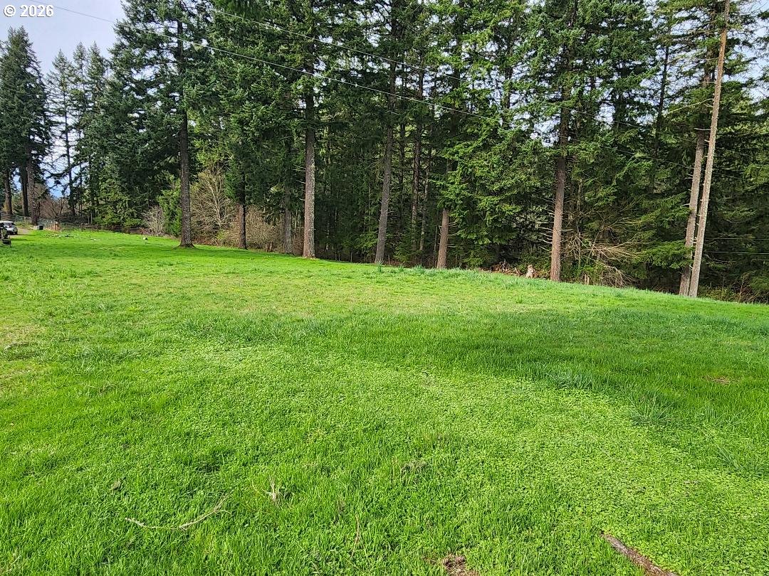 85106 Territorial Highway Eugene, OR 97402 - Photo 46 of 48 a view of a grassy field with trees in the background