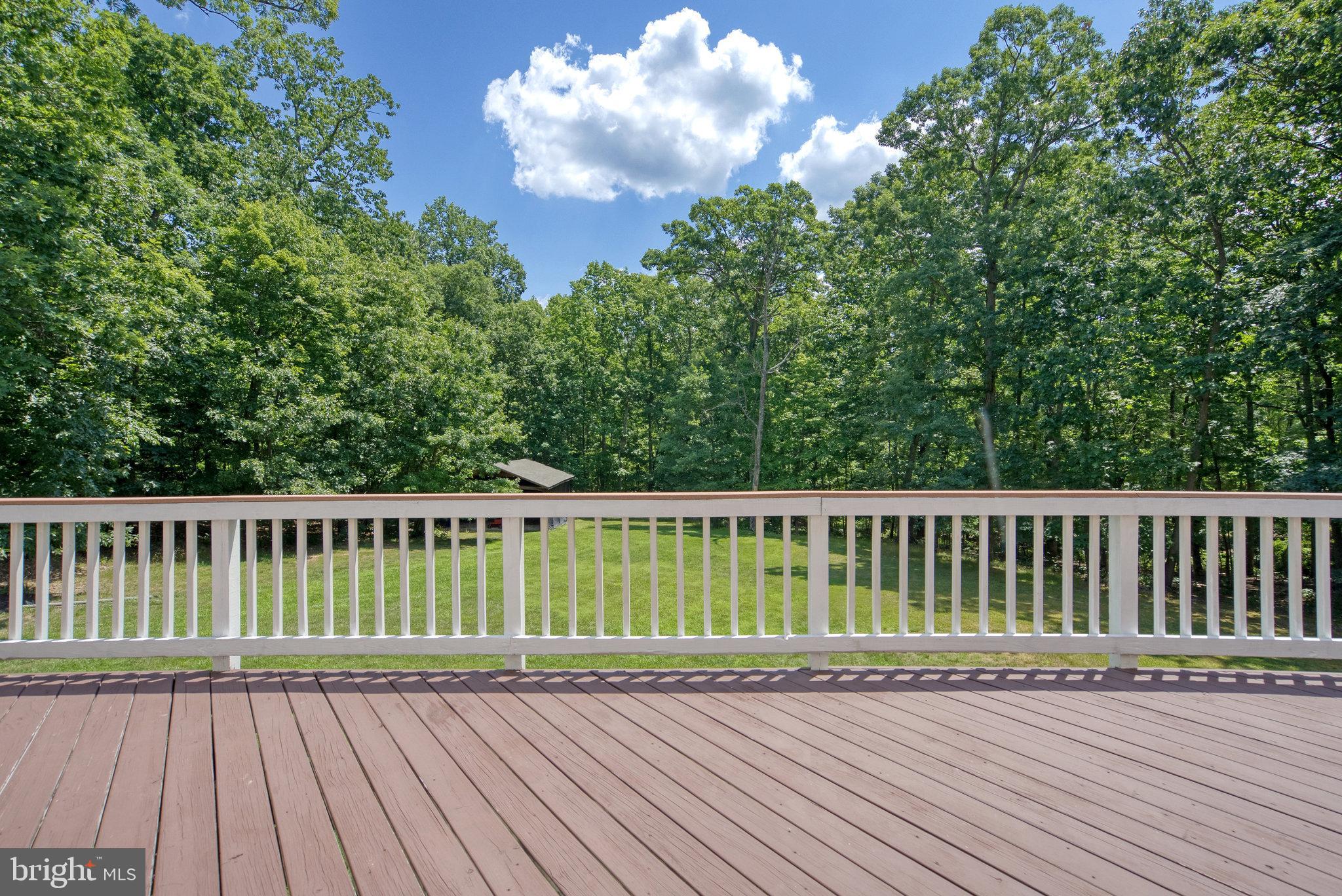 1971 Mountain Road Haymarket, VA 20169 - Photo 73 of 82