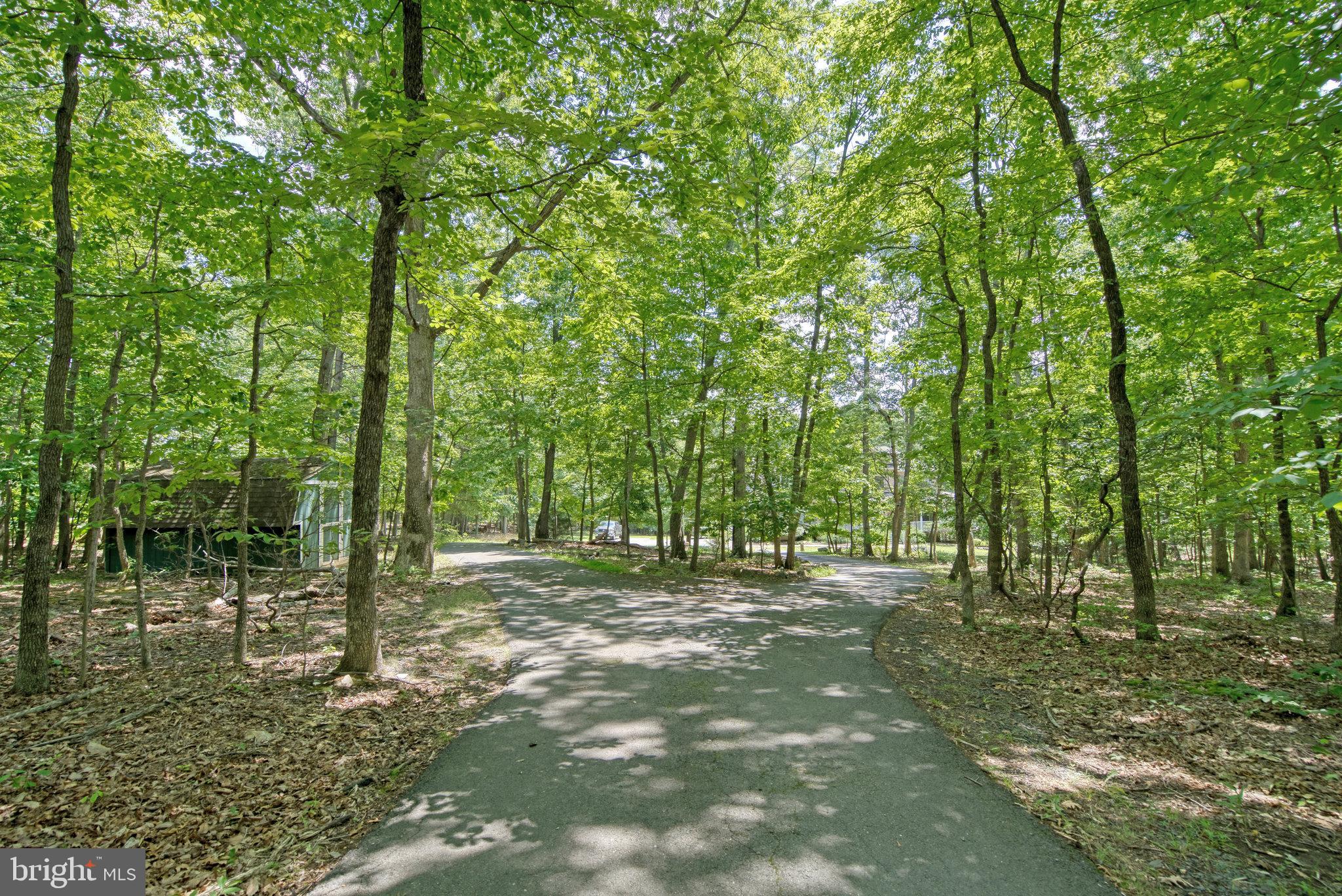 1971 Mountain Road Haymarket, VA 20169 - Photo 80 of 82