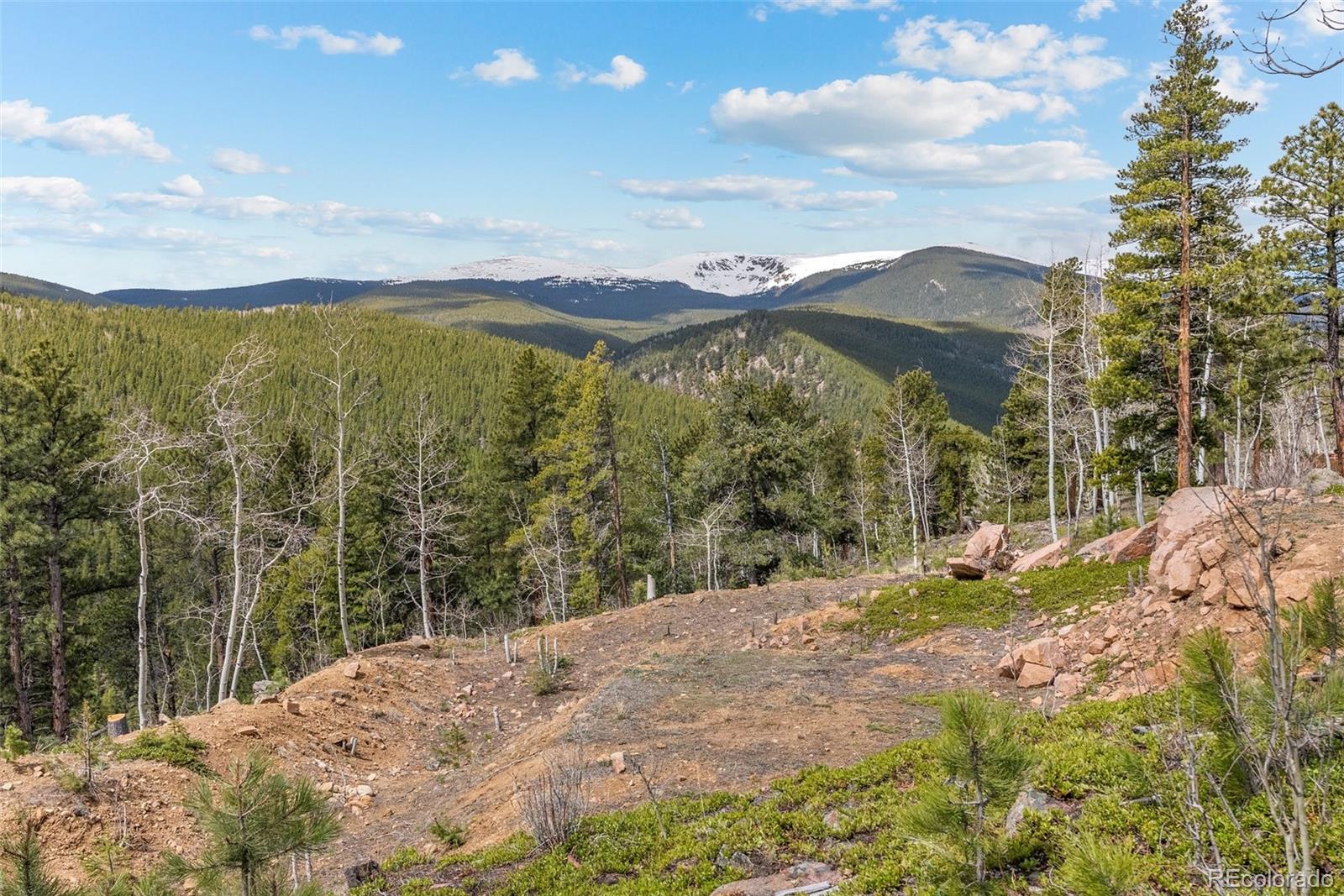 1364 Royal Ridge Drive Bailey, CO 80421 - Photo 11 of 30 a view of a yard with a mountain