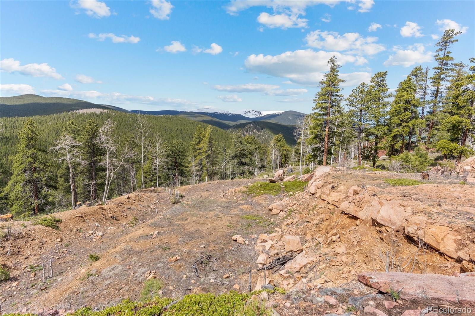 1364 Royal Ridge Drive Bailey, CO 80421 - Photo 12 of 30 a view of a yard with snow on the road