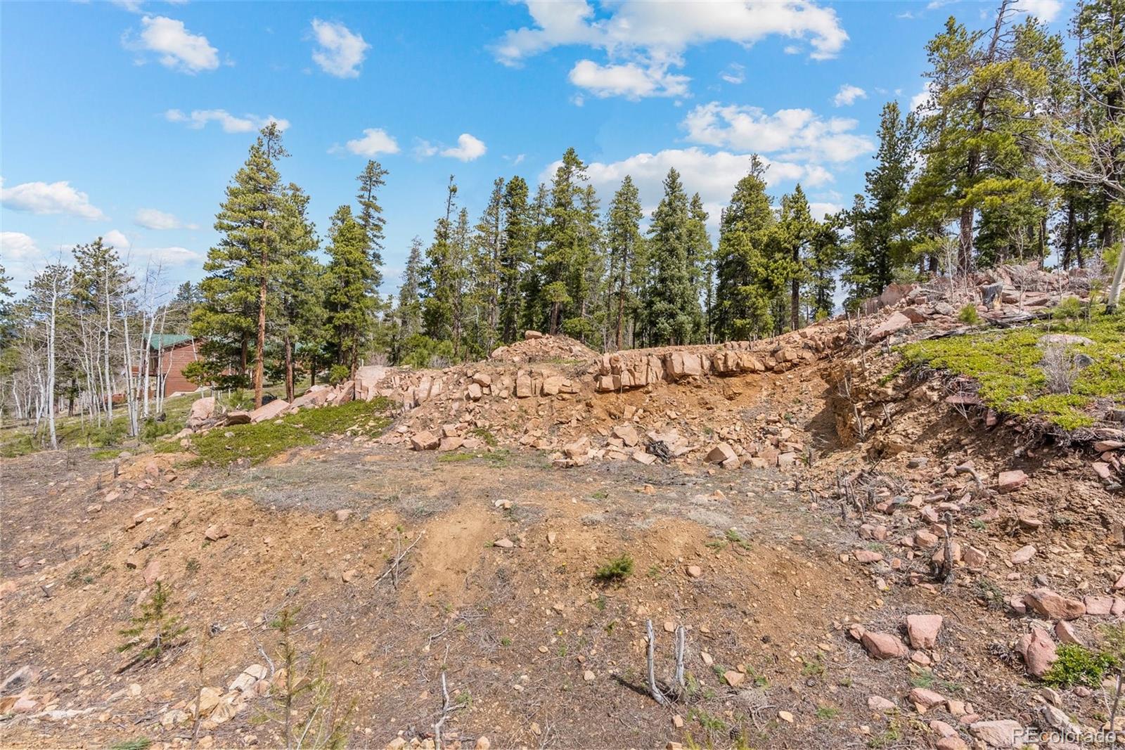 1364 Royal Ridge Drive Bailey, CO 80421 - Photo 13 of 30 a view of a yard with trees in the background