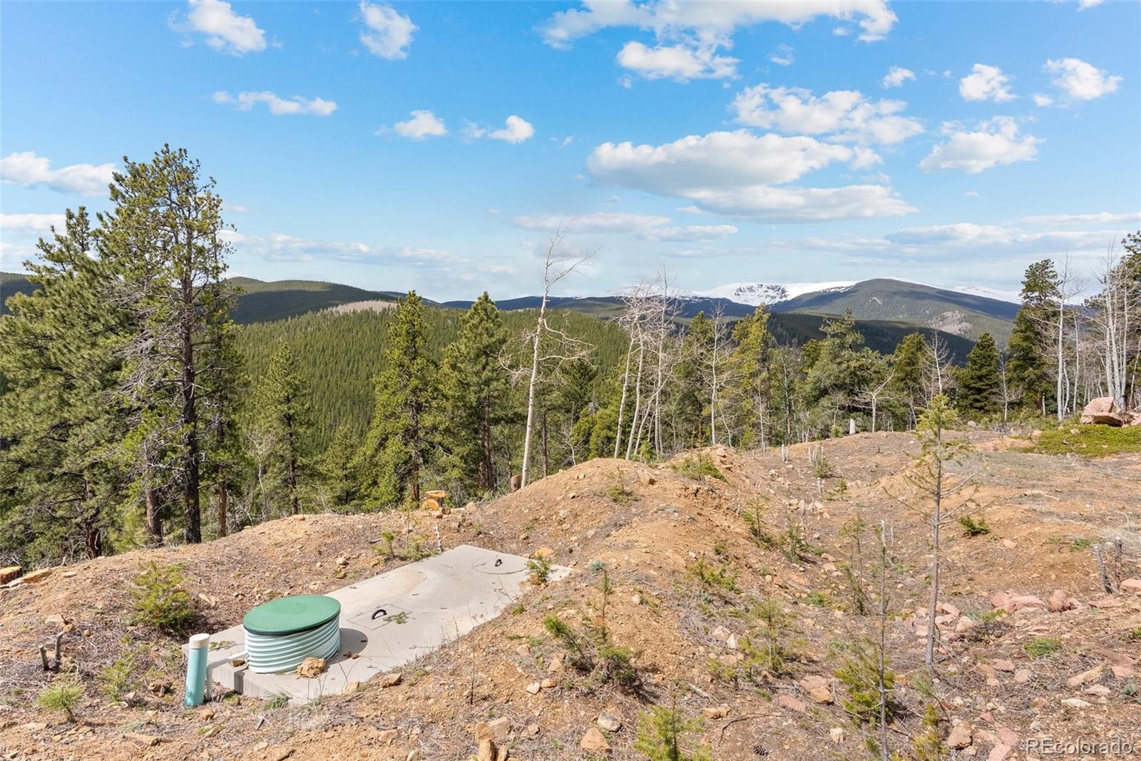1364 Royal Ridge Drive Bailey, CO 80421 - Photo 16 of 30 a view of a yard