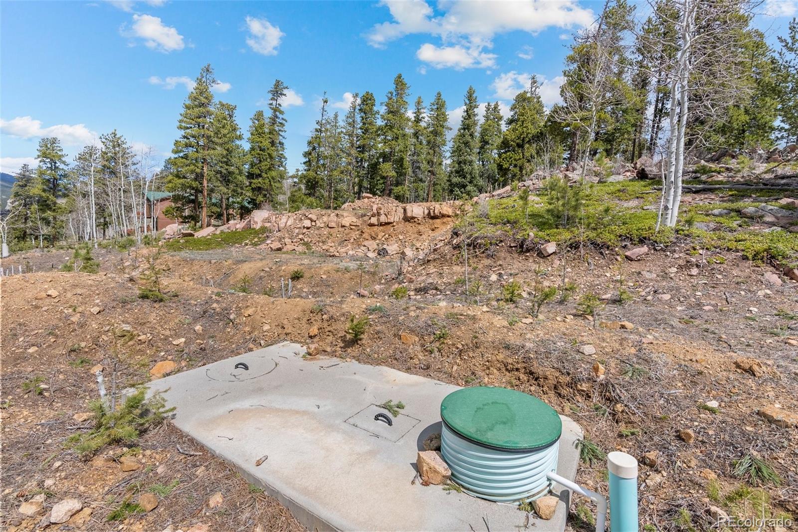 1364 Royal Ridge Drive Bailey, CO 80421 - Photo 17 of 30 a bathroom with a toilet and a shower