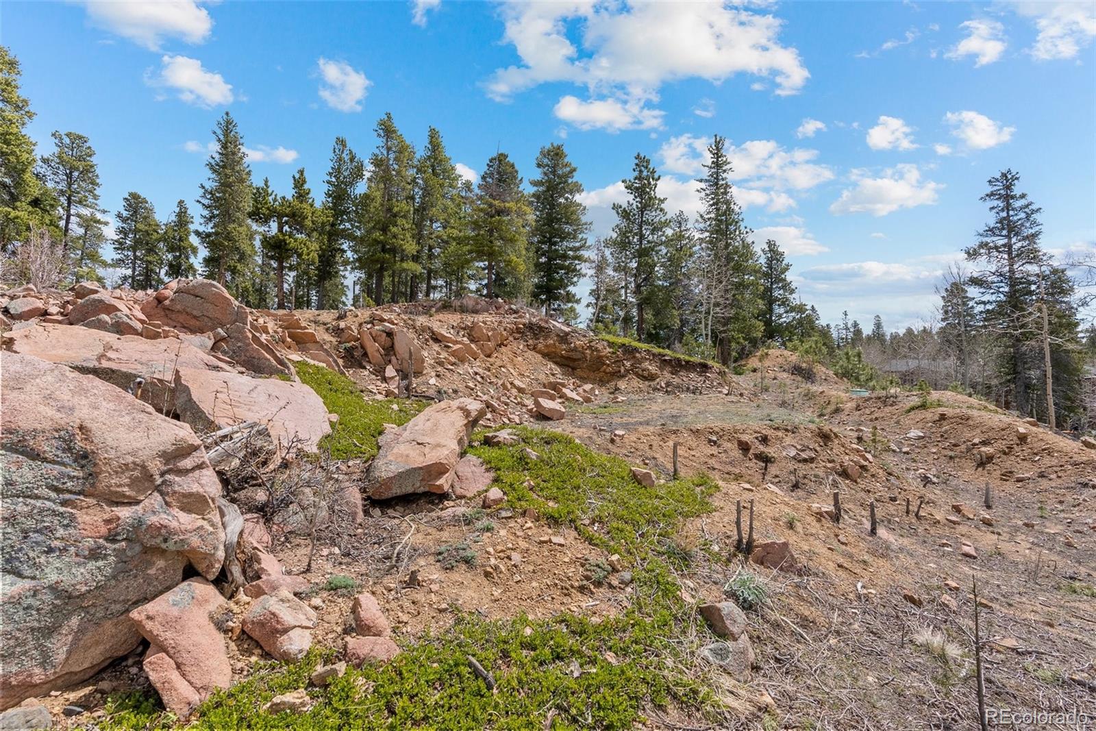 1364 Royal Ridge Drive Bailey, CO 80421 - Photo 20 of 30