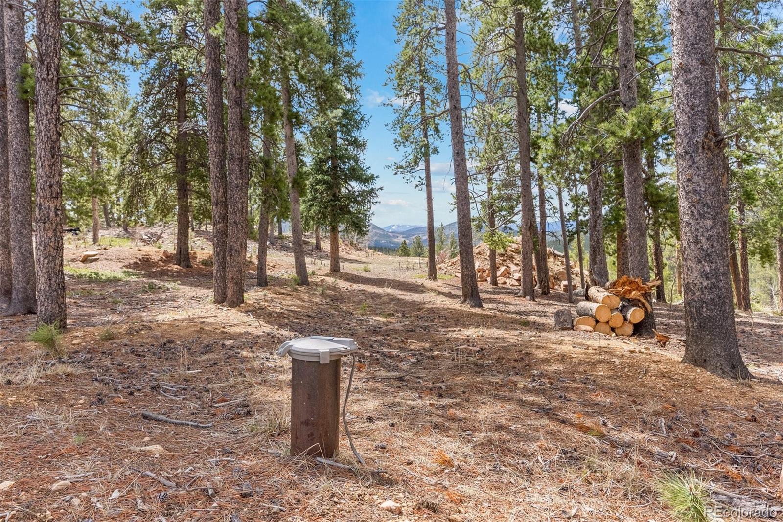 1364 Royal Ridge Drive Bailey, CO 80421 - Photo 22 of 30 a view of a forest with trees