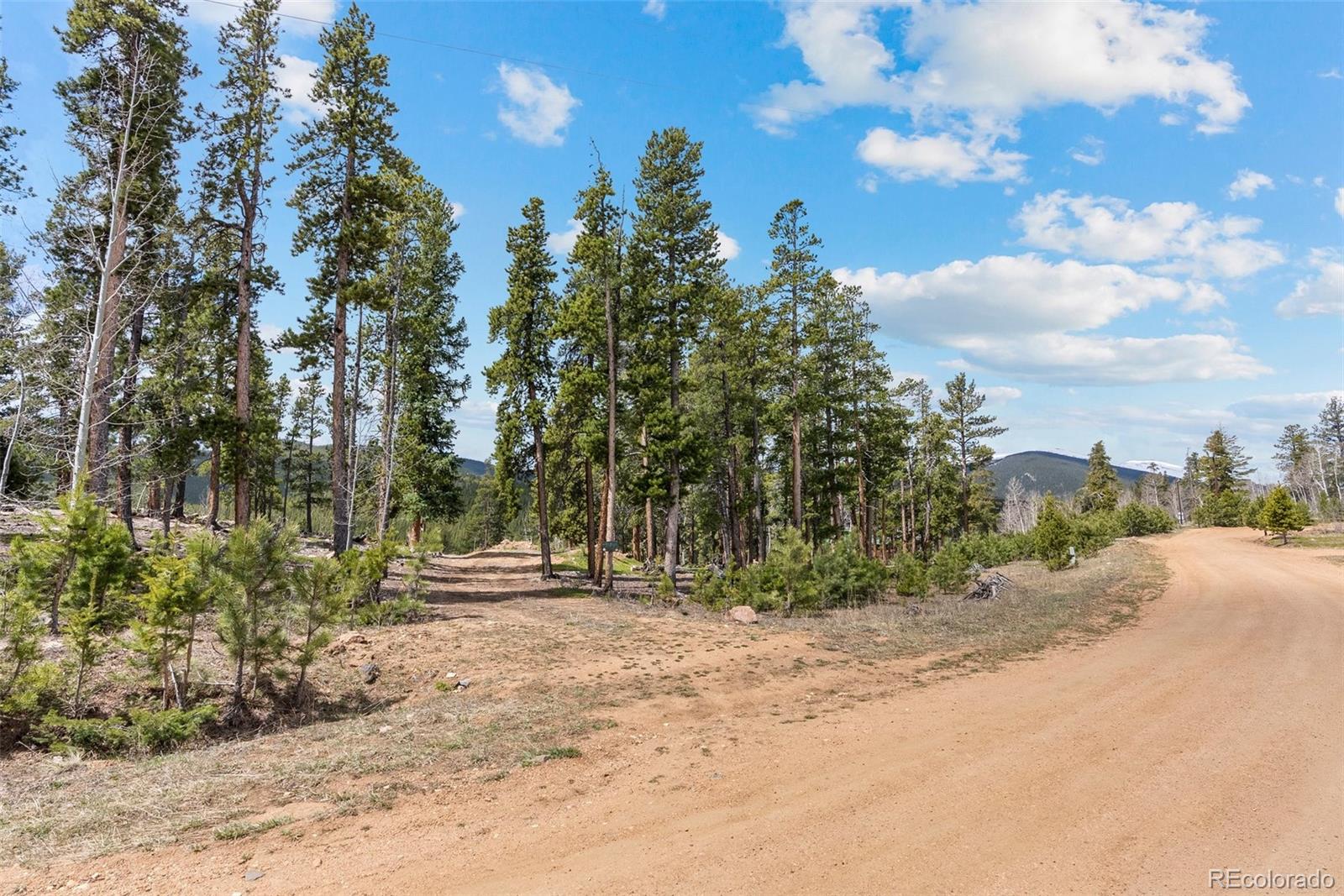 1364 Royal Ridge Drive Bailey, CO 80421 - Photo 25 of 30 a view of outdoor space with trees