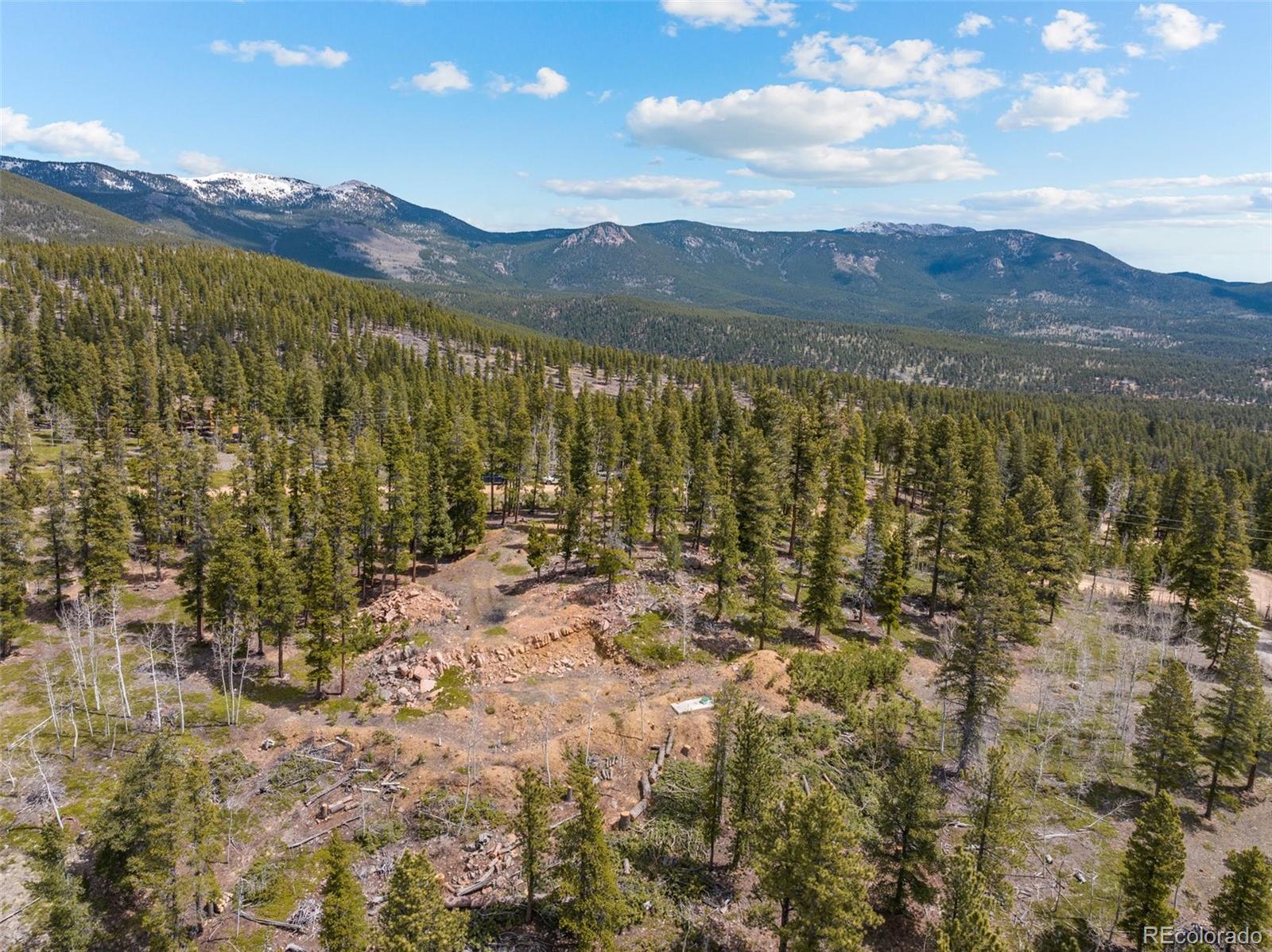 1364 Royal Ridge Drive Bailey, CO 80421 - Photo 28 of 30 a view of an outdoor space and mountain view