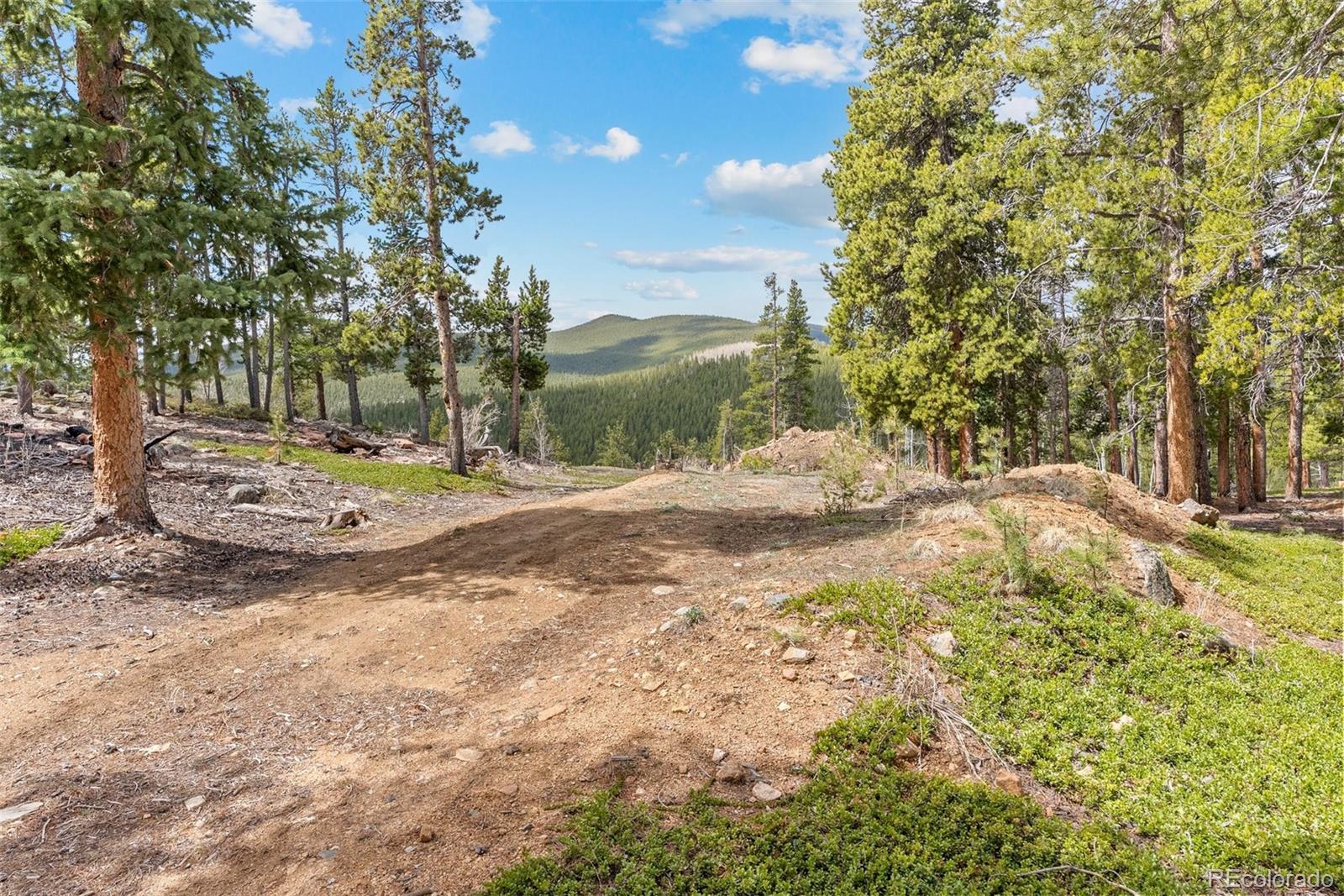 1364 Royal Ridge Drive Bailey, CO 80421 - Photo 3 of 30 a view of dirt yard with a large tree