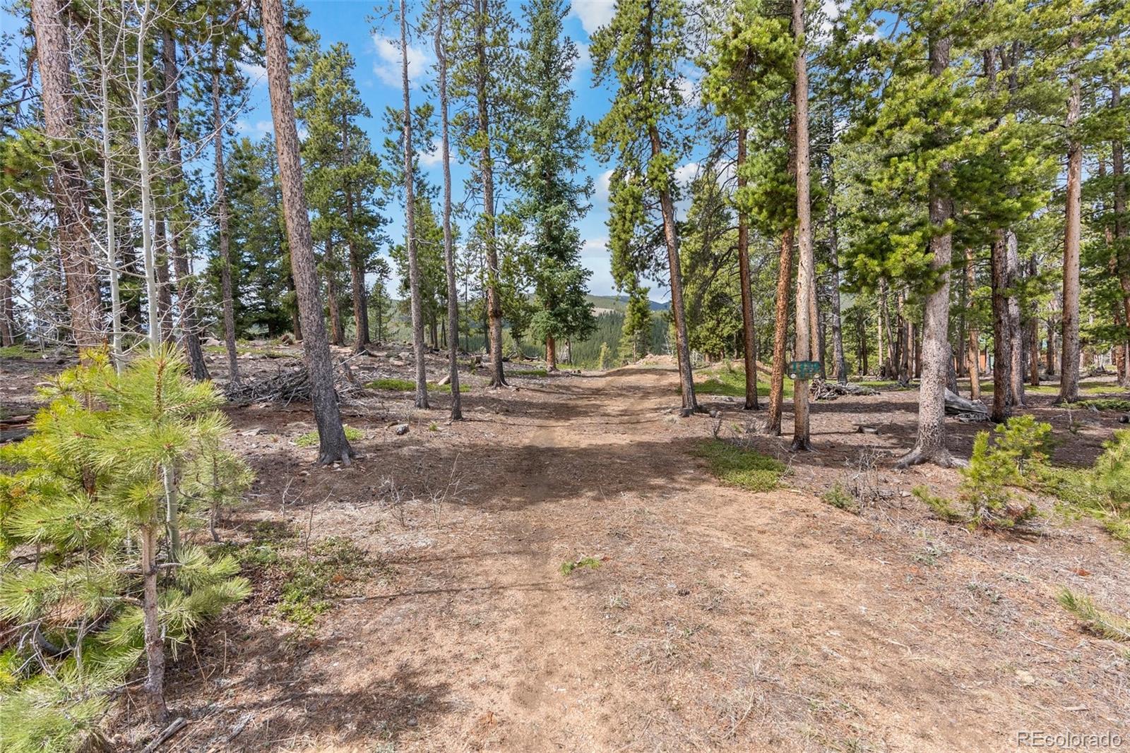1364 Royal Ridge Drive Bailey, CO 80421 - Photo 8 of 30 a view of park with large trees