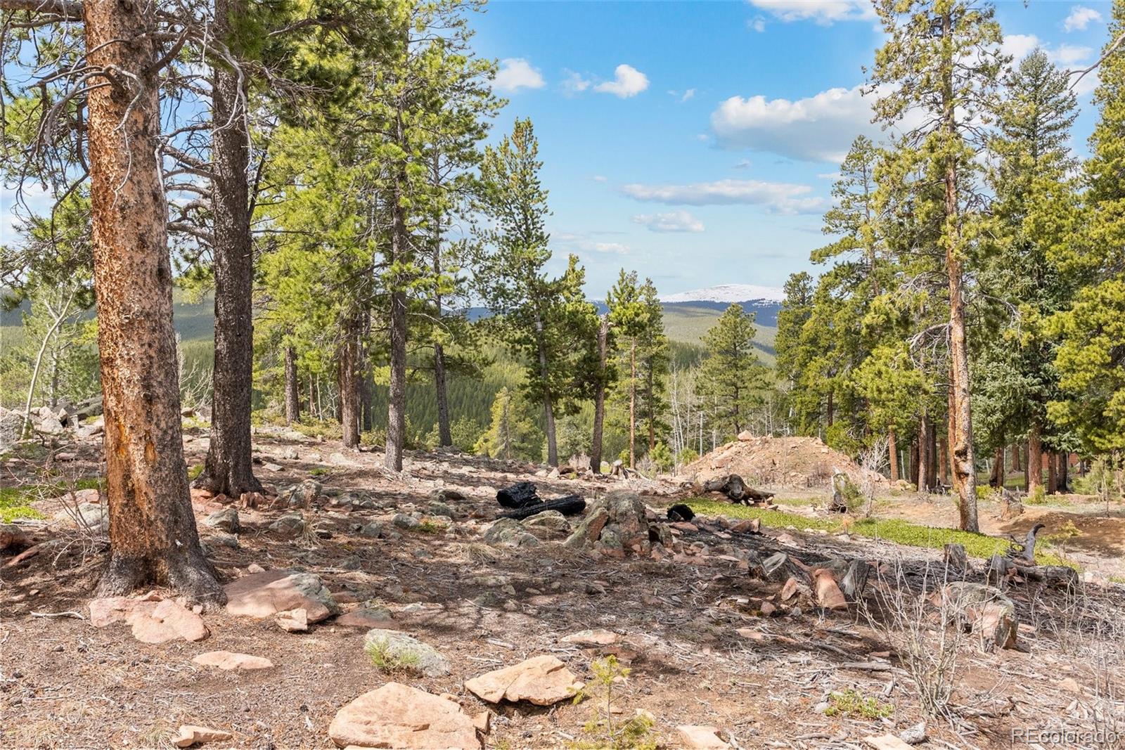 1364 Royal Ridge Drive Bailey, CO 80421 - Photo 9 of 30 a view of outdoor space with trees