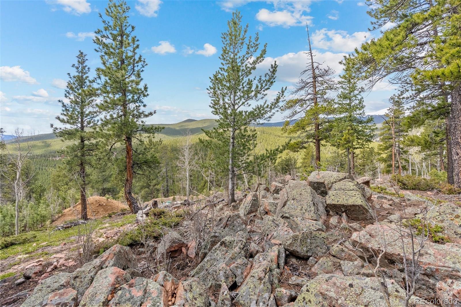 1364 Royal Ridge Drive Bailey, CO 80421 - Photo 10 of 30 a view of lake view