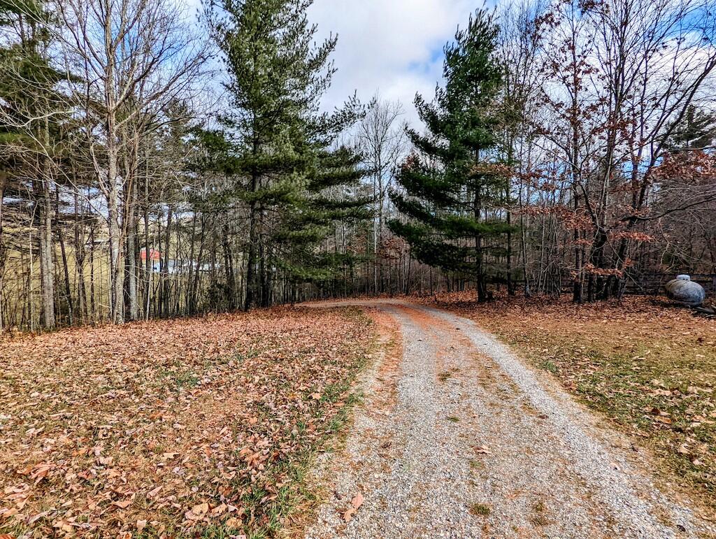 1555 Coles Knob Road Northeast Check, VA 24072 - Photo 20 of 27 a backyard of a house with lots of green space