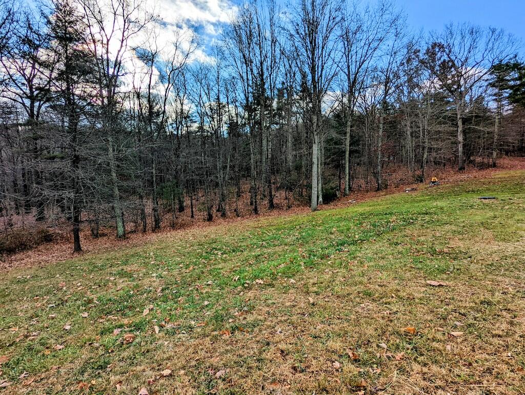 1555 Coles Knob Road Northeast Check, VA 24072 - Photo 23 of 27 a view of outdoor space with trees all around