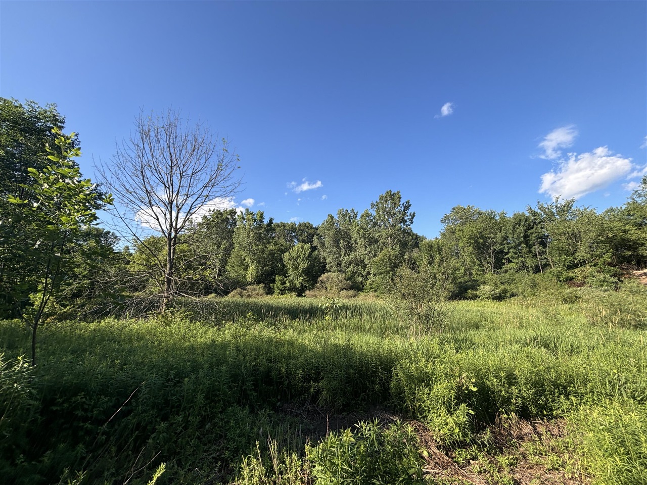 38.14 Northeast A Ne Hayes Road Comstock Park, MI 49321 - Photo 20 of 38