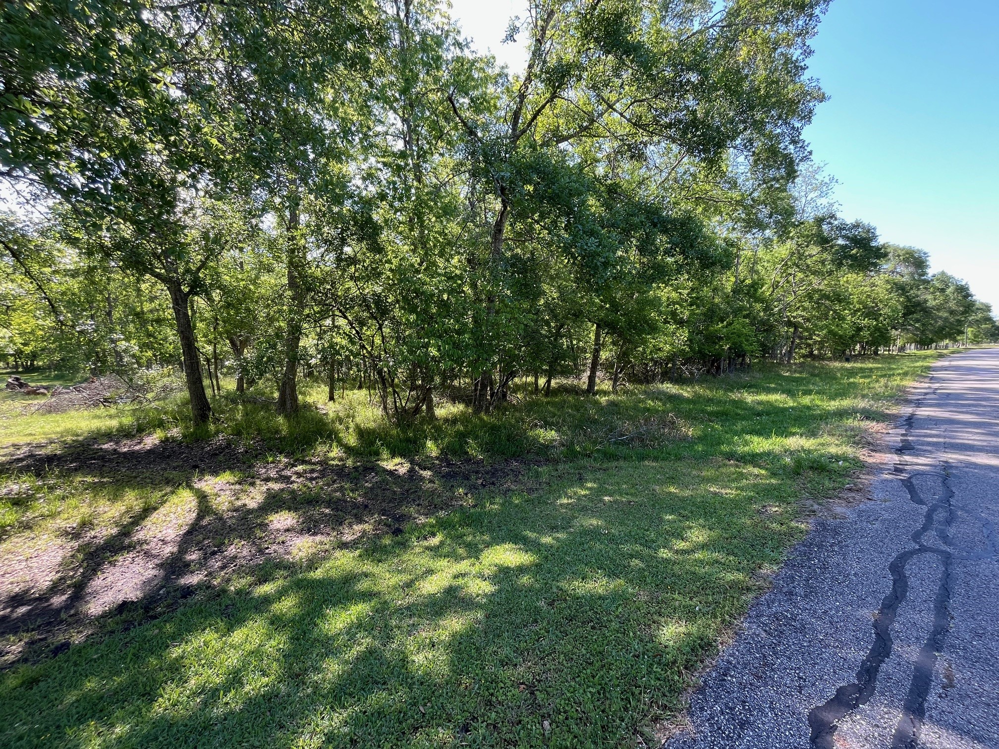 0 Squirrel Hollow Road Damon, TX 77430 - Photo 7 of 14 a big yard with lots of green space and trees