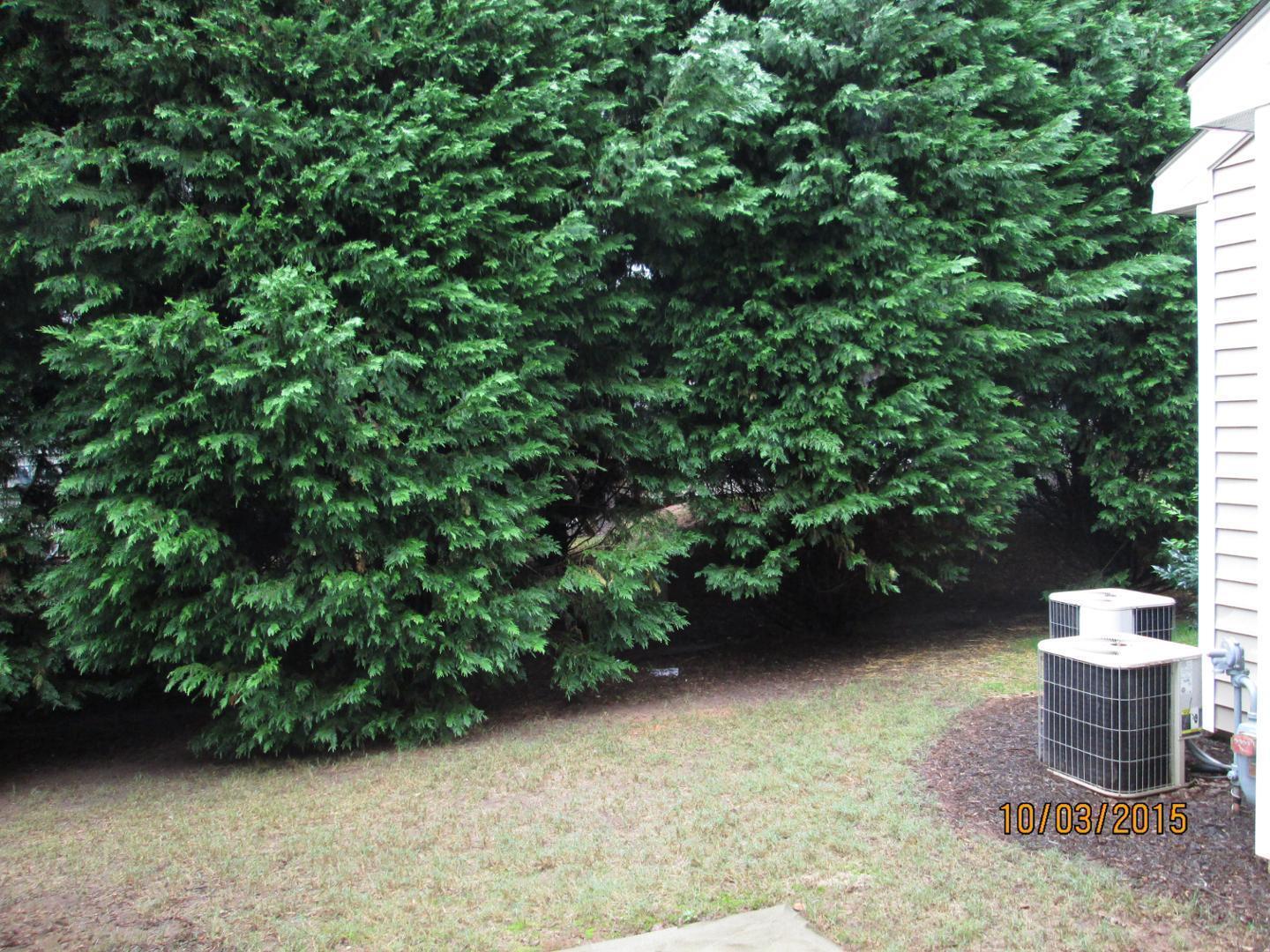 8521 Silhouette Place Raleigh, NC 27613 - Photo 20 of 20 a view of a outdoor space with a potted plant and a garden