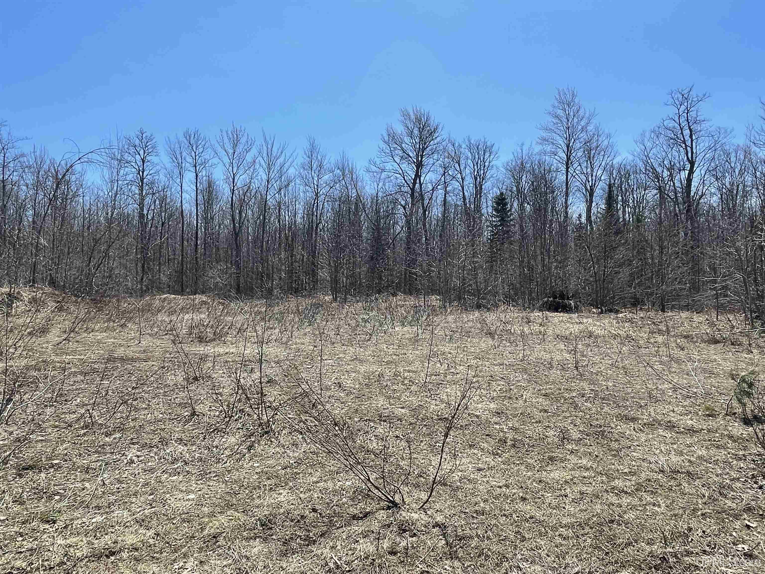 Tbd North County 519 Road Wakefield, MI 49968 - Photo 9 of 18