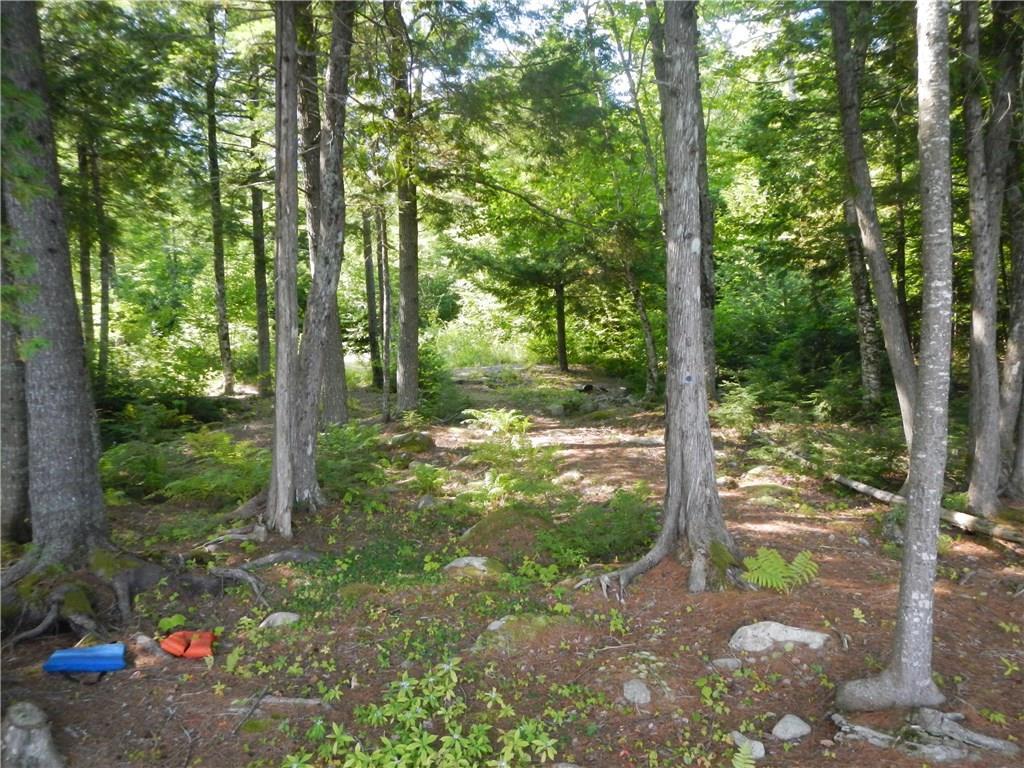 Tbd Tbd Eskutassis & Spruce Point Road Lowell, ME 04493 - Photo 11 of 23 Photo