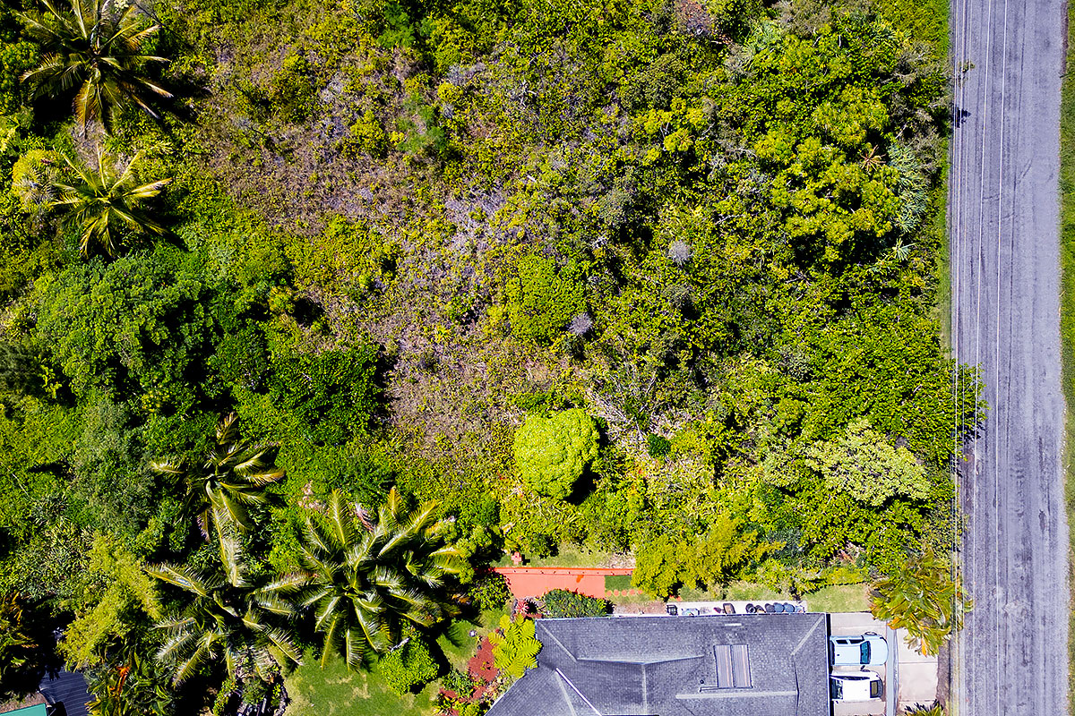 56 Beach Road Keaau, HI 96749 - Photo 3 of 30