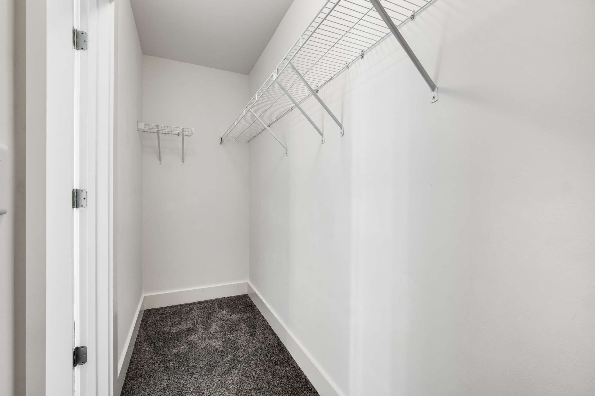 445 RANGELAND Road Spring Hill, TN 37174 - Photo 36 of 55 a view of a hallway