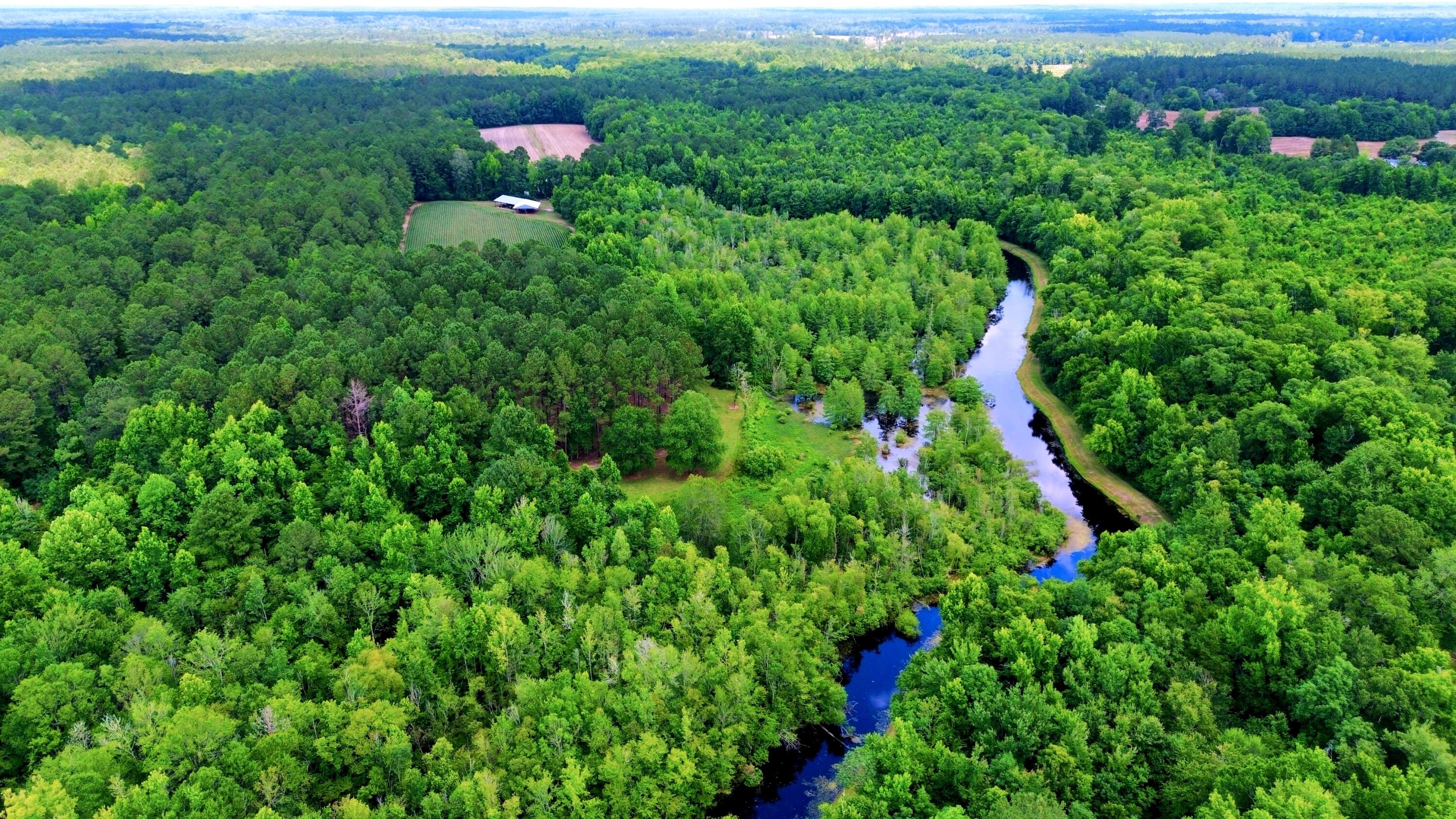 1970 Cross Swamp Road Islandton, SC 29929 - Photo 2 of 150