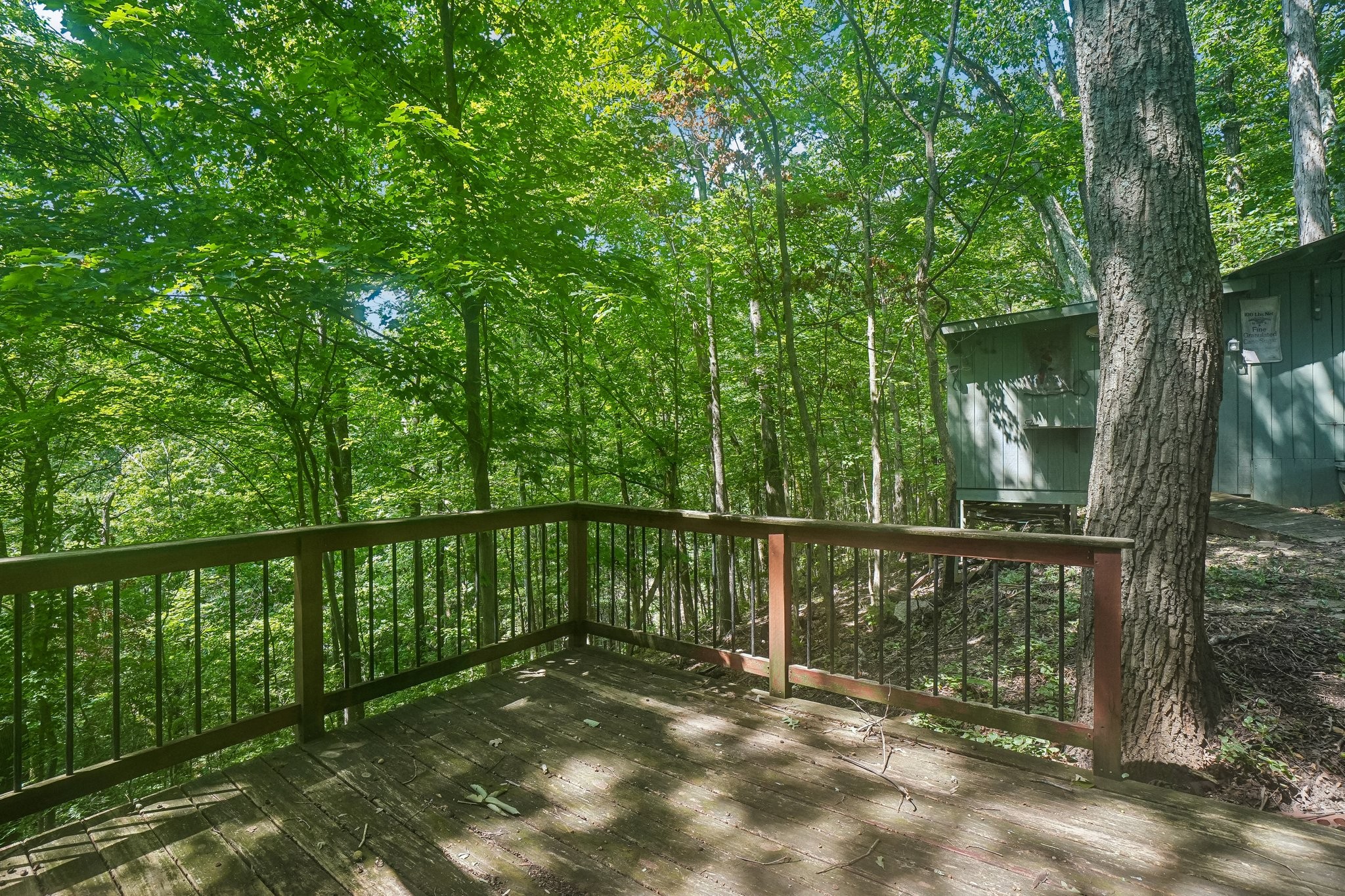 3456 Greer Road Goodlettsville, TN 37072 - Photo 40 of 48 Gallery Image 40
