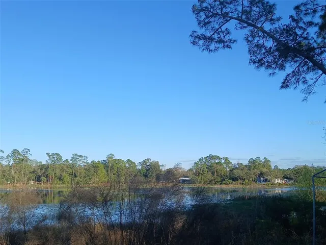 a view of a yard with a tree