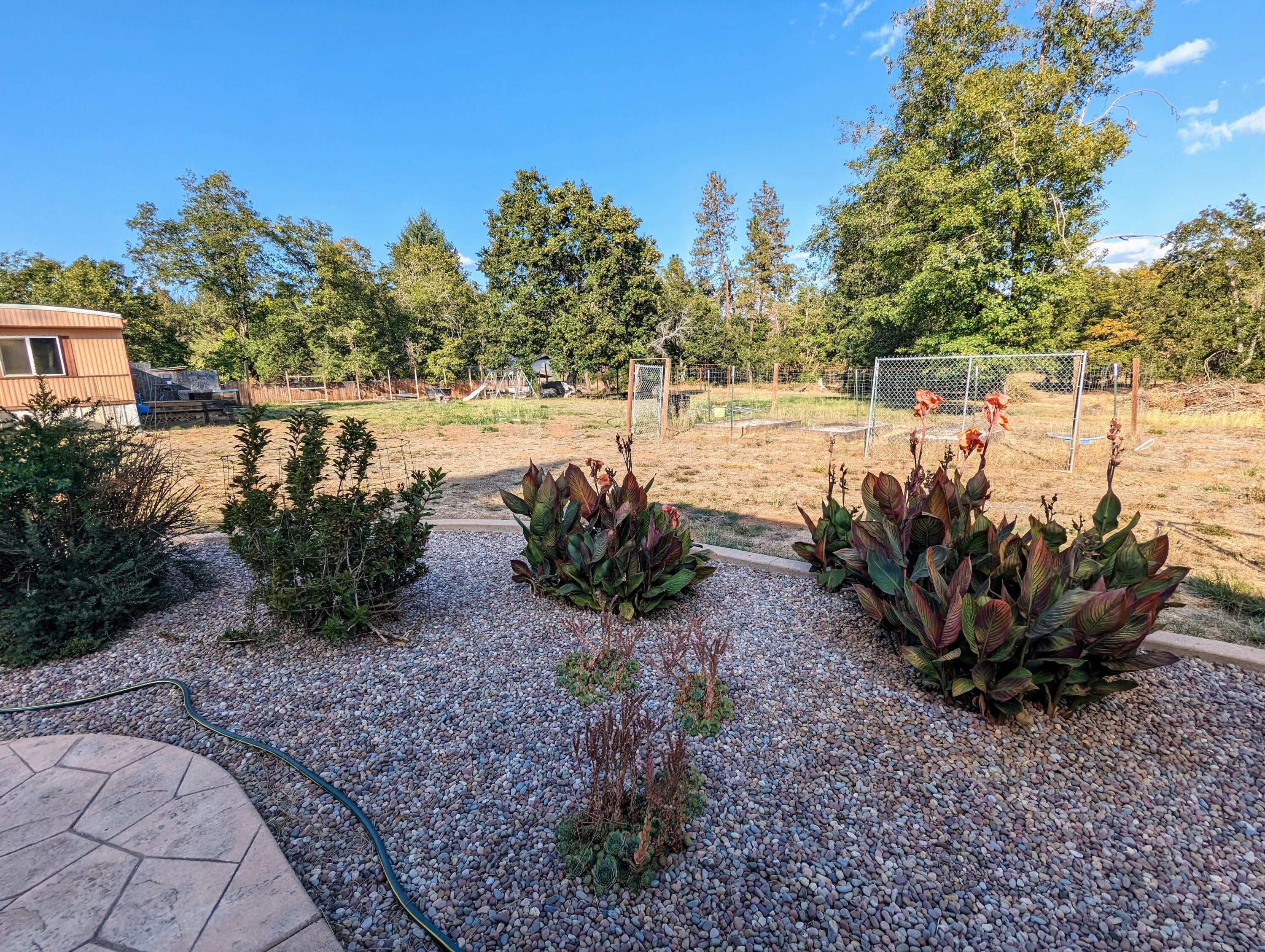 Landscaping & Stamped Concrete