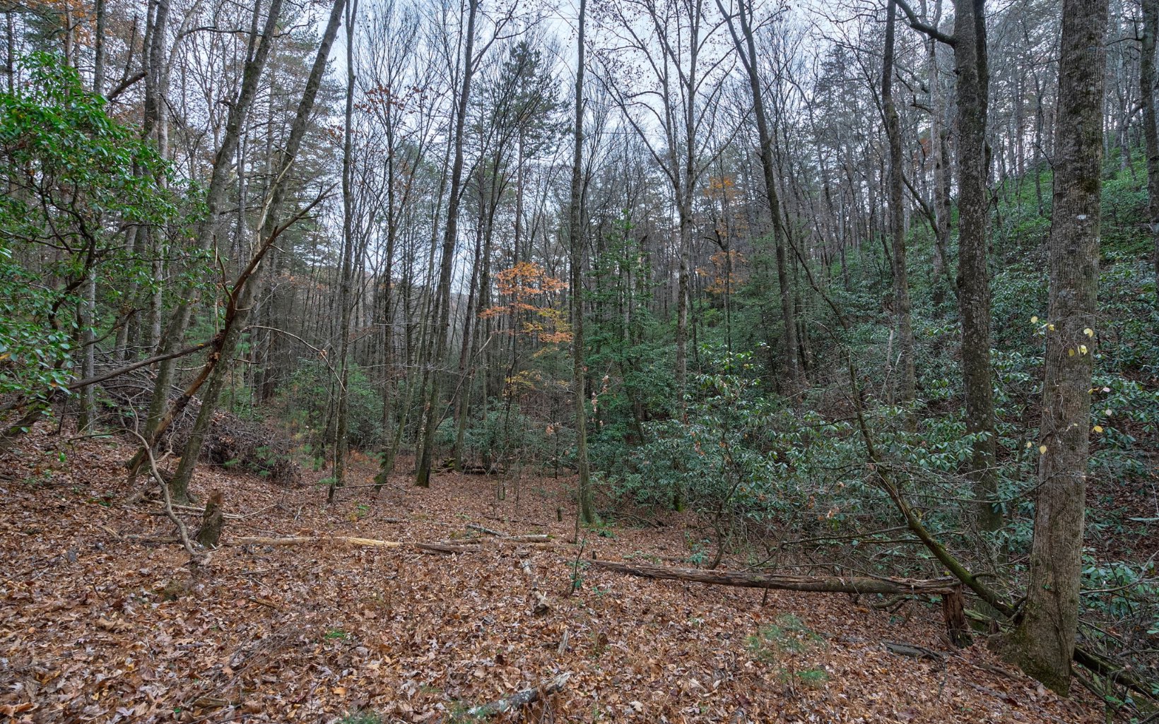 2015 Old Parker Pl Road Ellijay, GA 30536 - Photo 60 of 65 Additional View