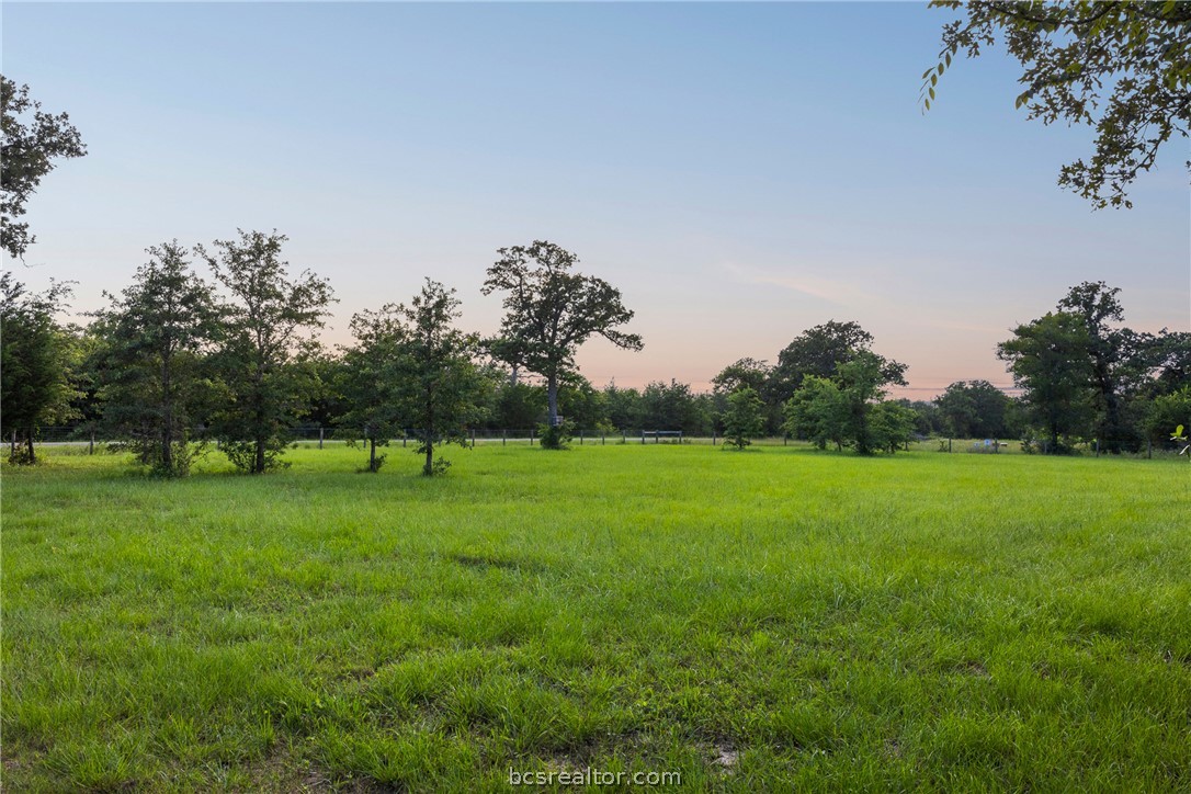 6951 Watermelon Road Somerville, TX 77879 - Photo 41 of 48 Open pasture view.