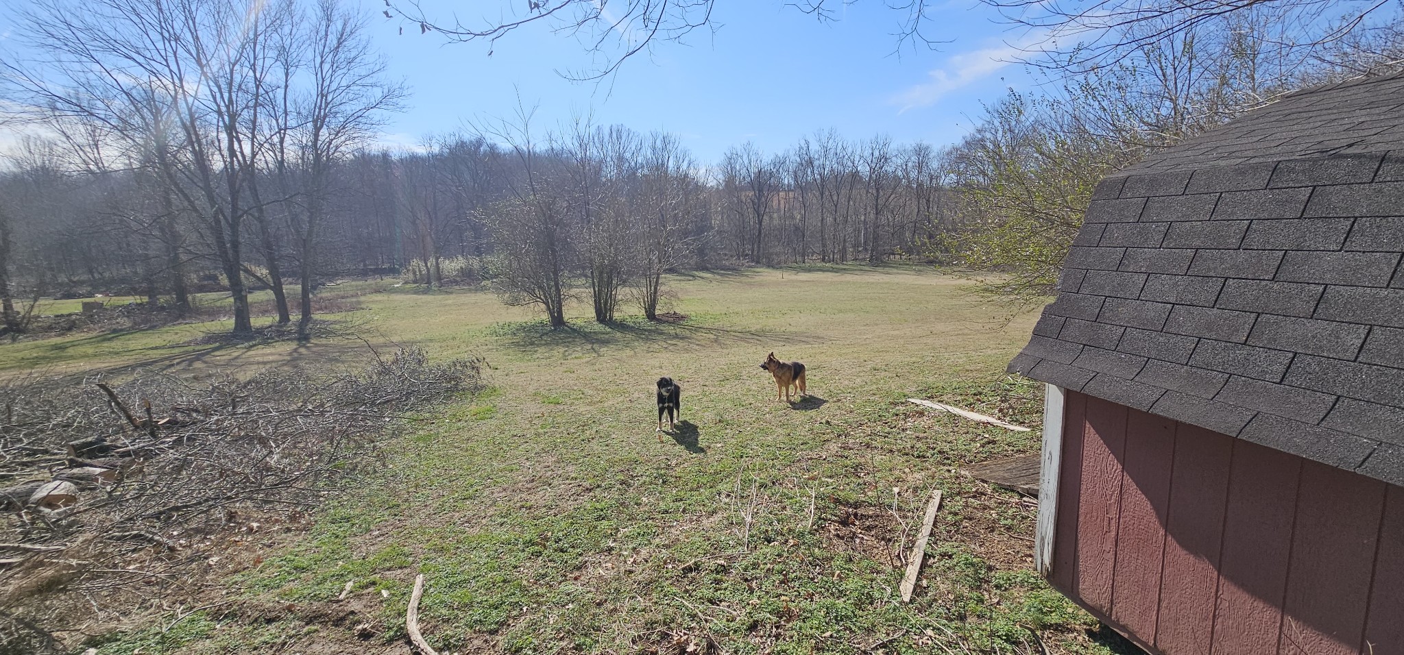 5207 Stacy Springs Road Springfield, TN 37172 - Photo 16 of 98 a view of a backyard of the house