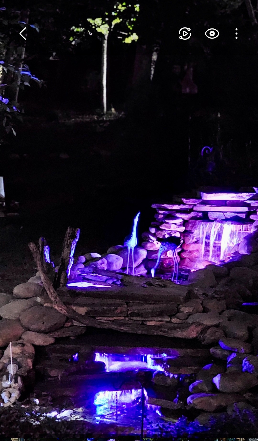 5207 Stacy Springs Road Springfield, TN 37172 - Photo 18 of 98