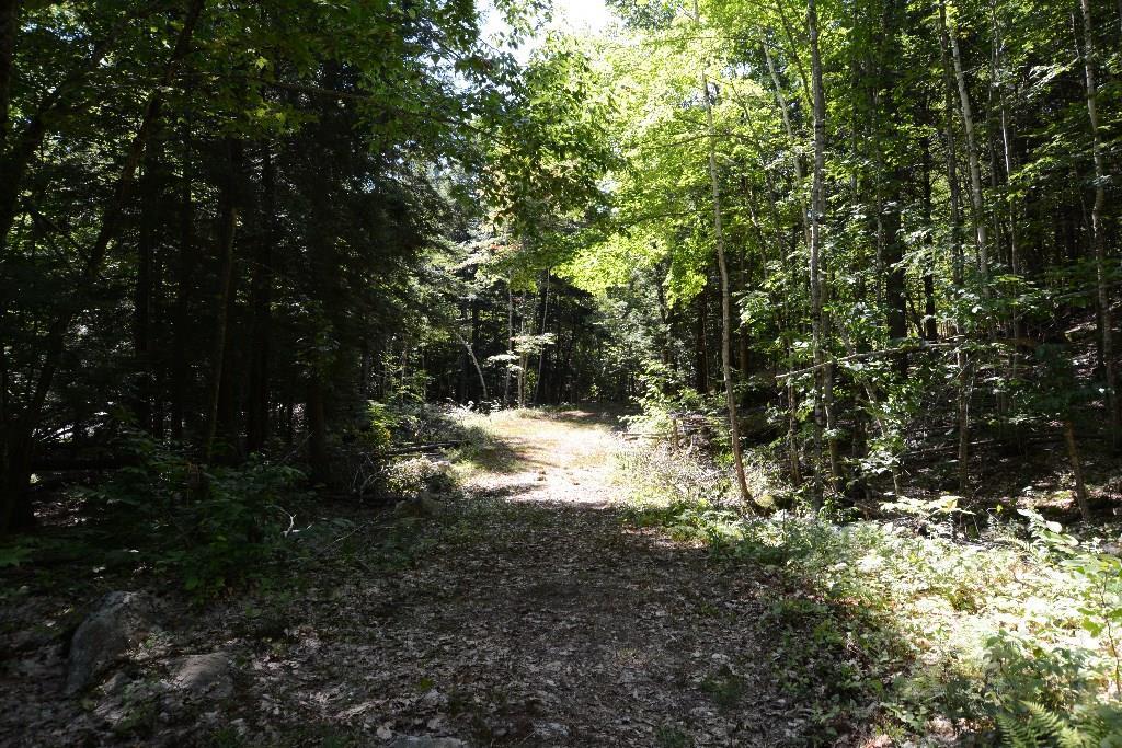 4 Camden Road Hope, ME 04847 - Photo 10 of 14 A section of the gravel drive that...