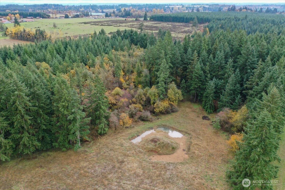 283 Sargent Road Winlock, WA 98596 - Photo 38 of 39 a view of a lush green forest with lots of trees