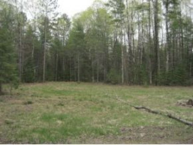 Lot 24 Sand Lake Road Mercer, WI 54547 - Photo 7 of 9 Gallery Image 7