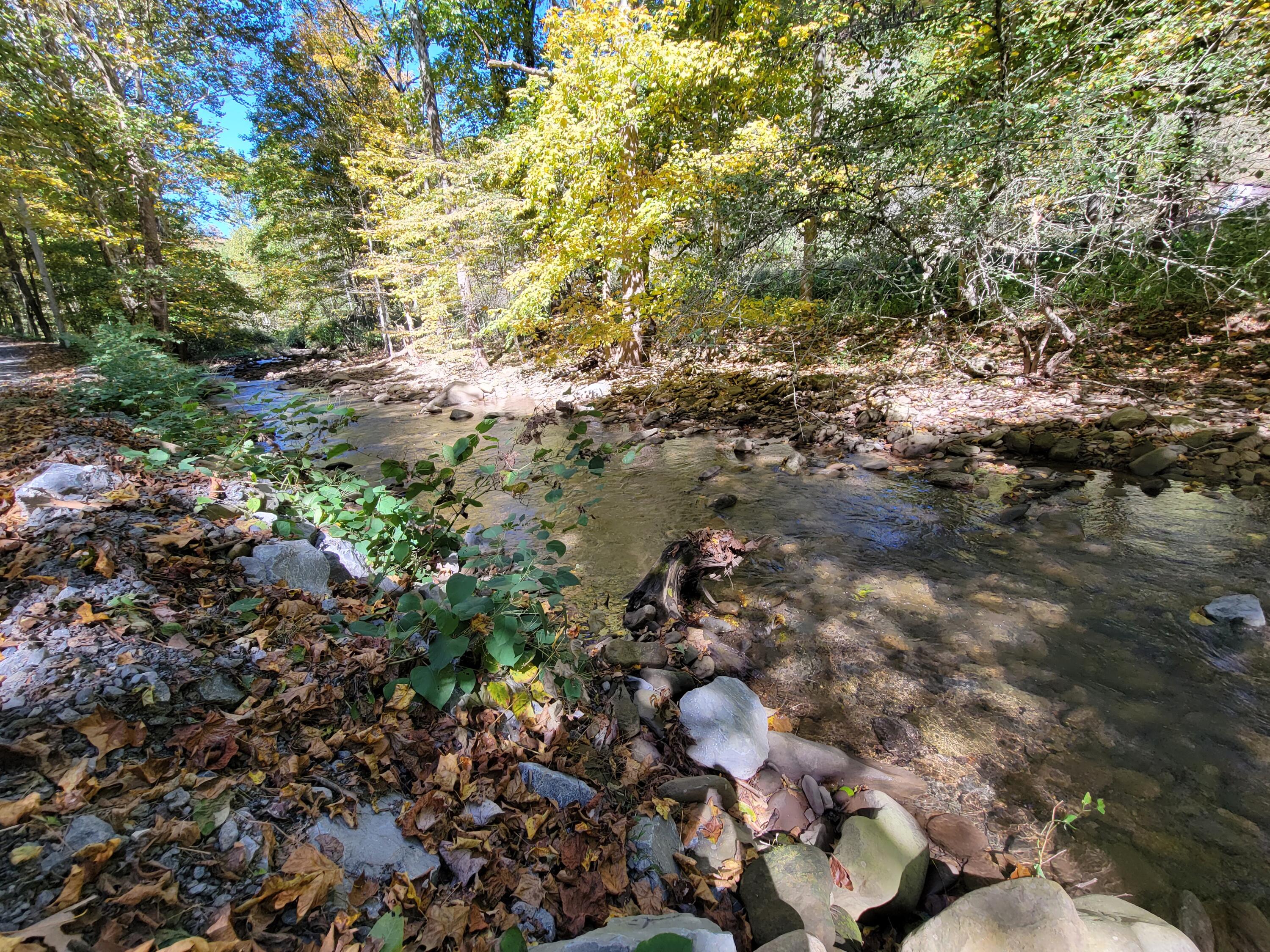 Robins Fork Road Renick, WV 24966 - Photo 15 of 34 Gallery Image 15