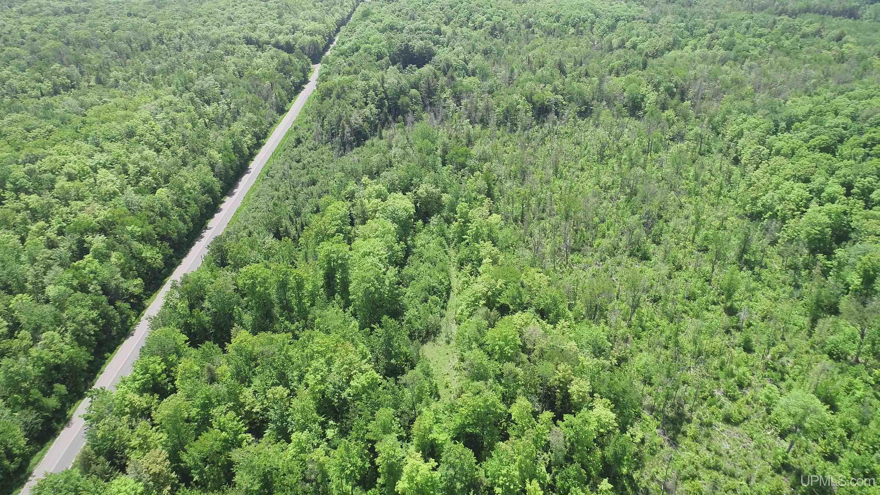 40-acres 40-acres Maple Grove Road Skandia, MI 49885 - Photo 6 of 19