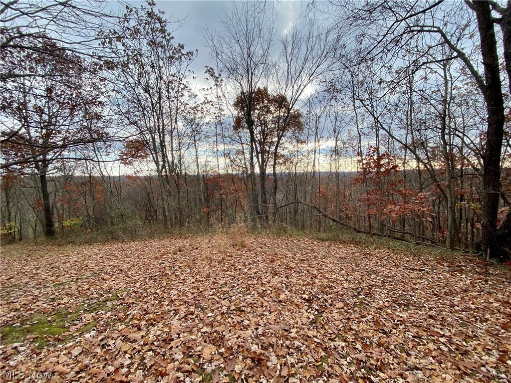 2630 Virginia Ridge Road Philo, OH 43771 - Photo 29 of 30