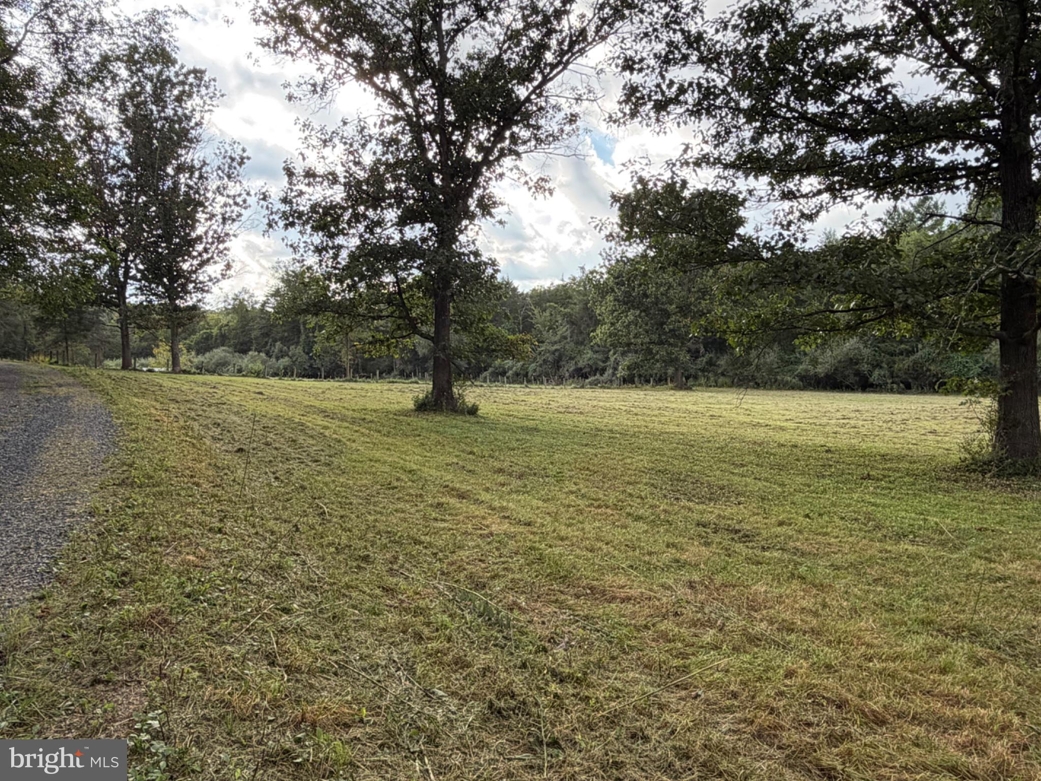2983 Old Winchester Road Boyce, VA 22620 - Photo 68 of 98 Theres a meadow perfect for a few critters