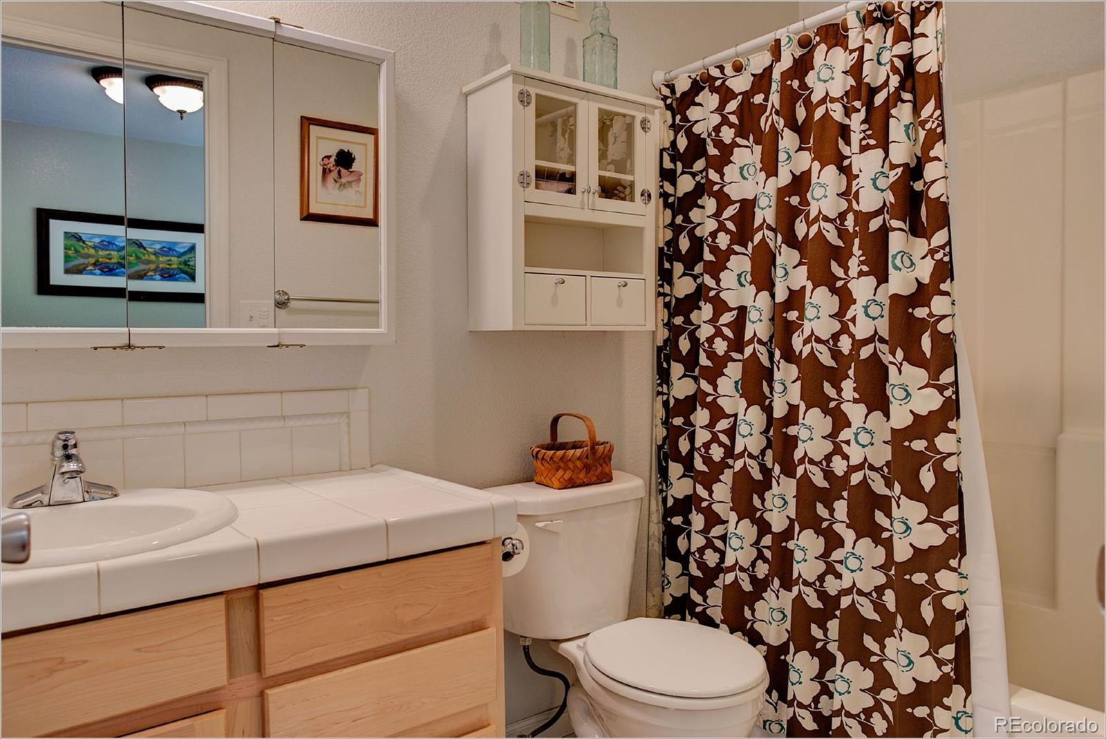 4961 Little Cub Creek Road Evergreen, CO 80439 - Photo 26 of 38 a bathroom with a sink toilet and shower